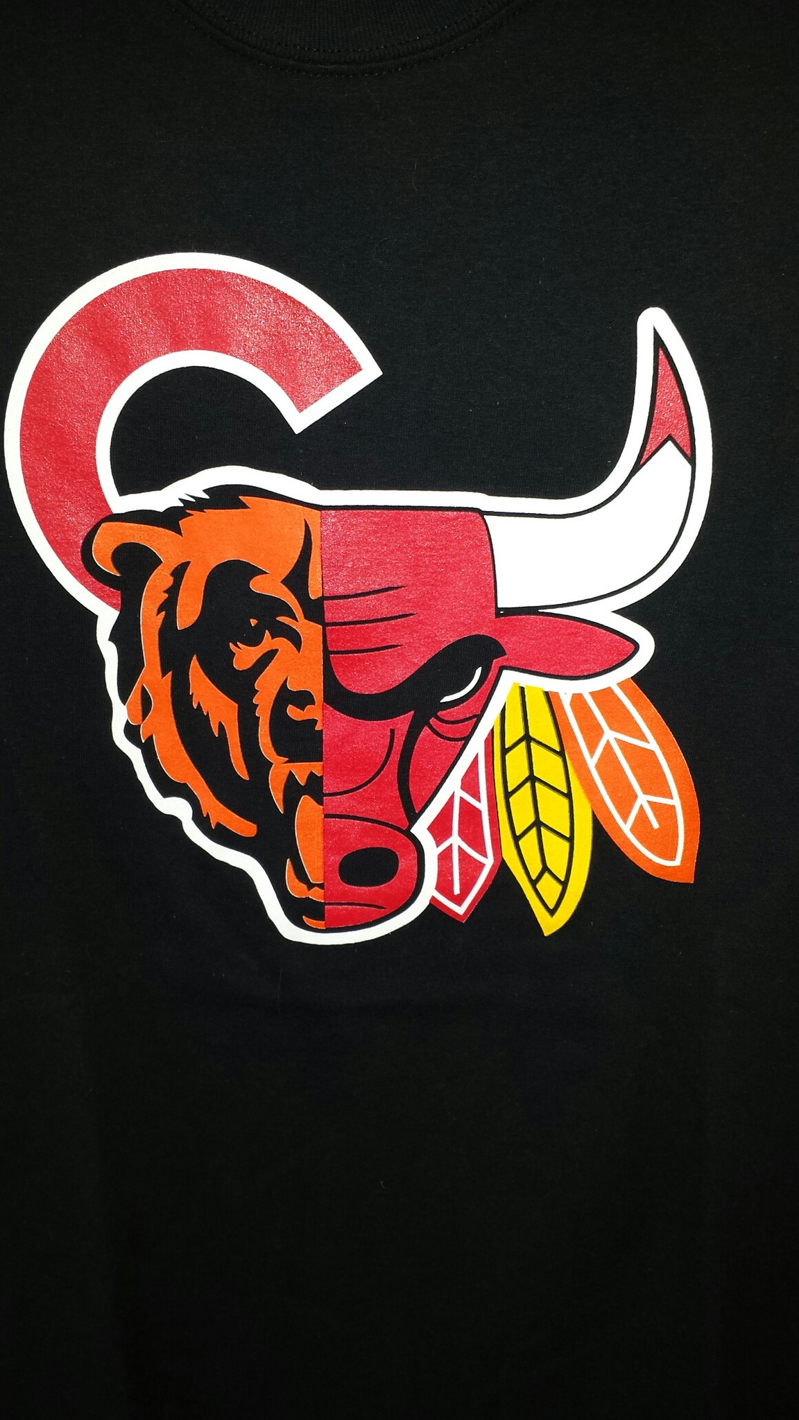 Chicago Sports Teams Wallpaper (67+ images)