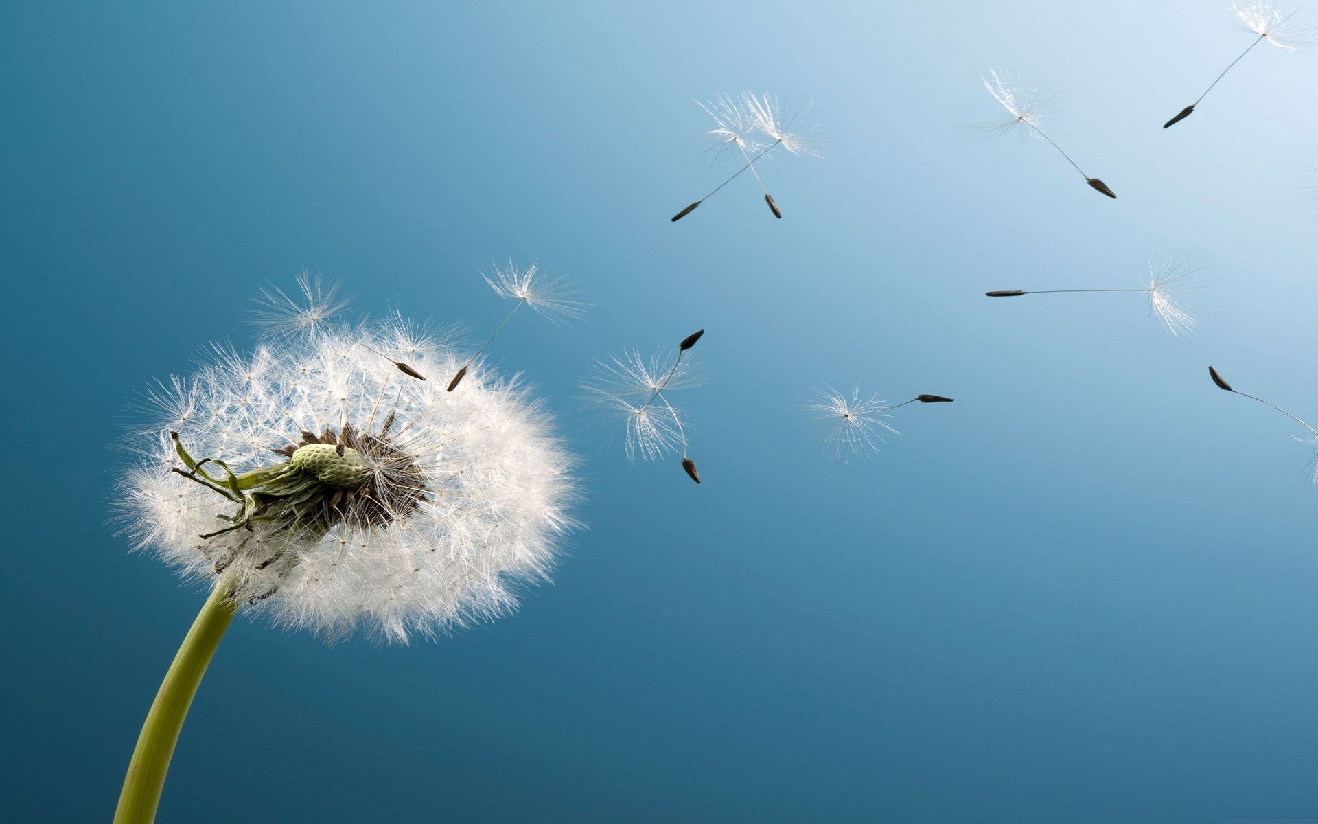 Cool Wallpapers for Windows 10 (78+ images)