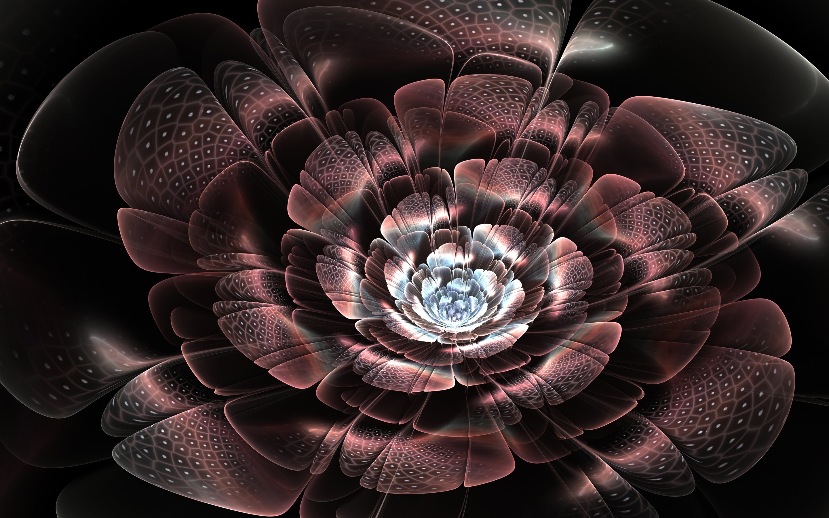 Abstract Flowers Wallpaper (66+ images)