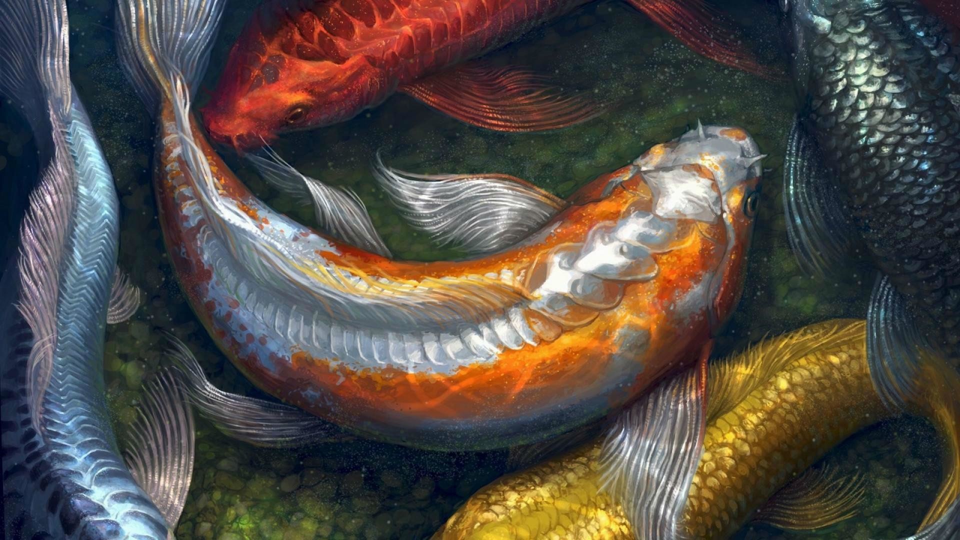 Koi Fish Live Wallpaper Full Version Free Download Koi Fish Live