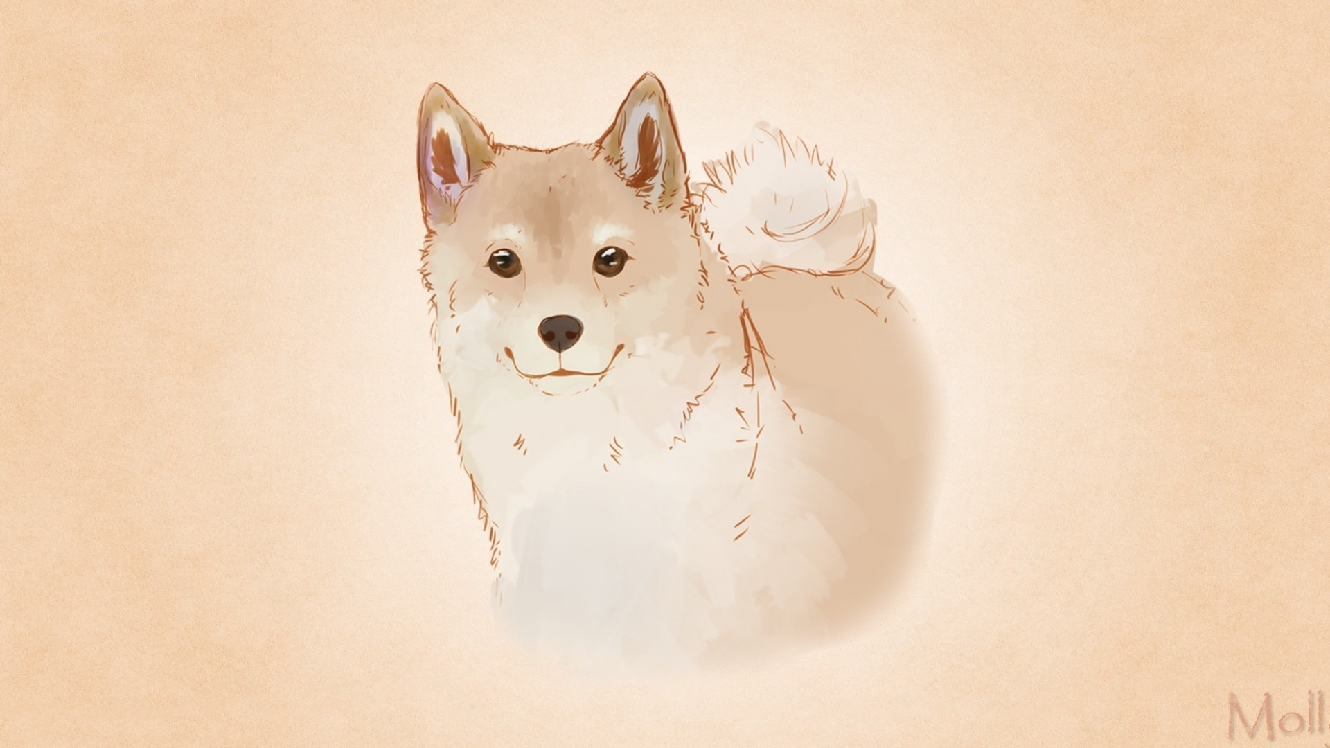 55+ Cute Shiba Inu Wallpaper Iphone l2sanpiero