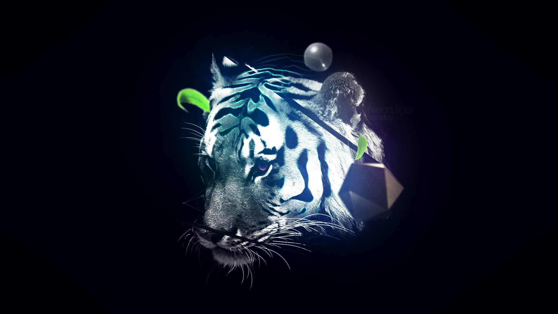 Neon Tiger Wallpaper (65+ images)
