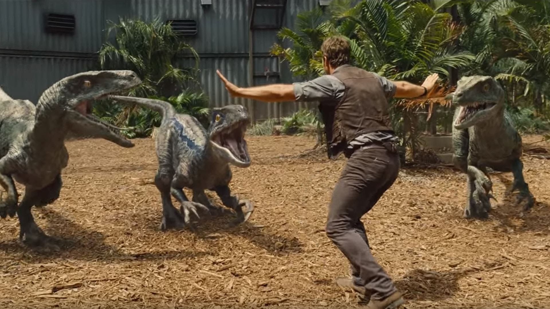 Jurassic World Velociraptor Wallpaper (82+ images)