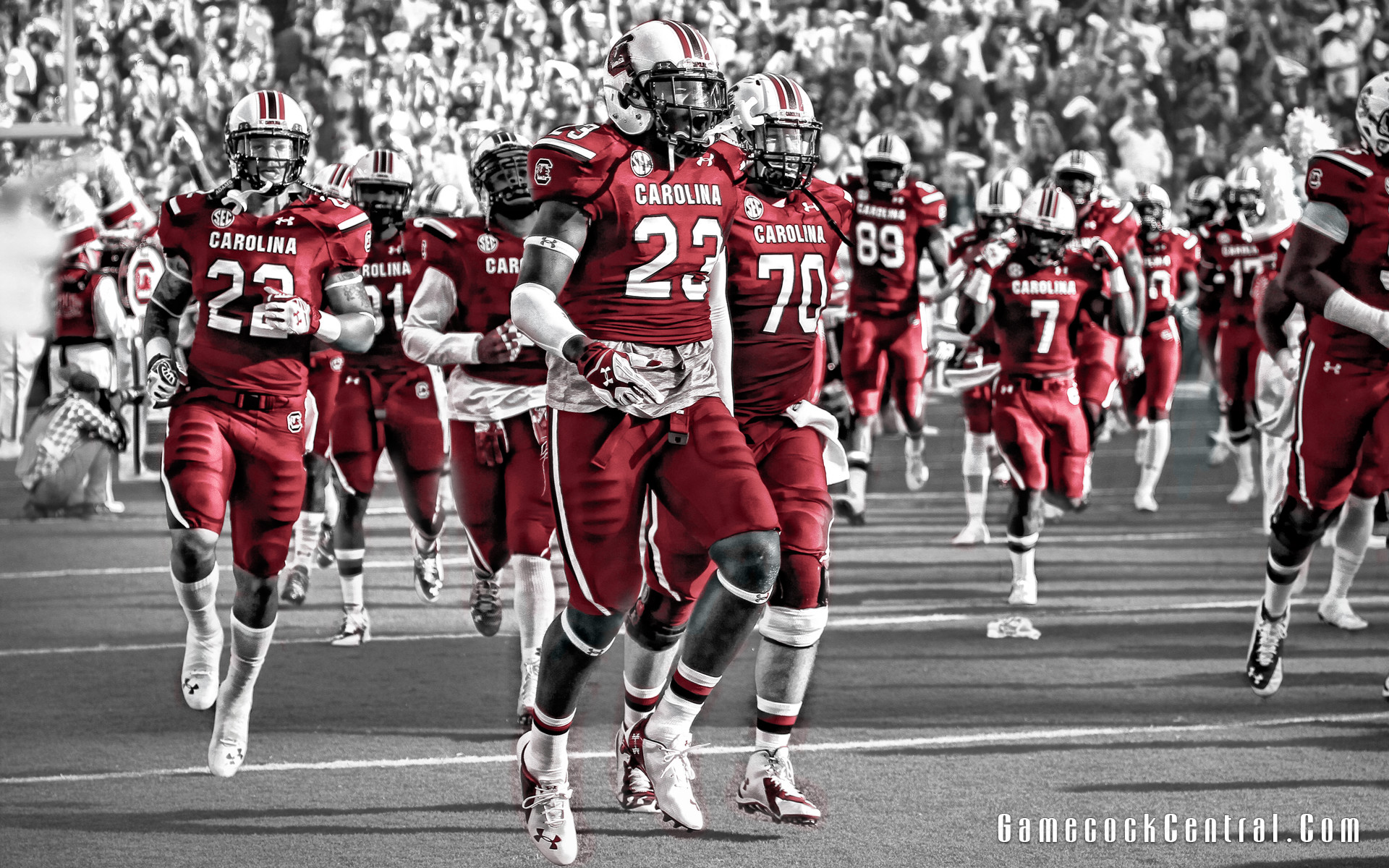 South Carolina Gamecocks Wallpapers (54+ images)