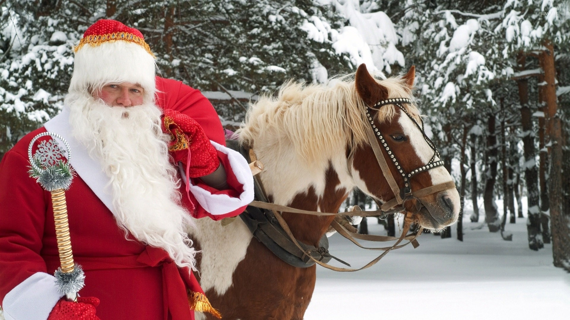 Christmas Horse Wallpaper (52+ images)