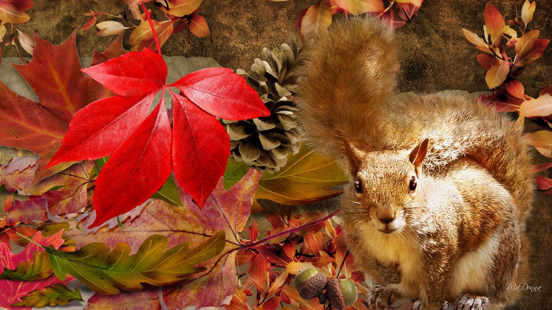 Autumn Animal Wallpaper (65+ images)