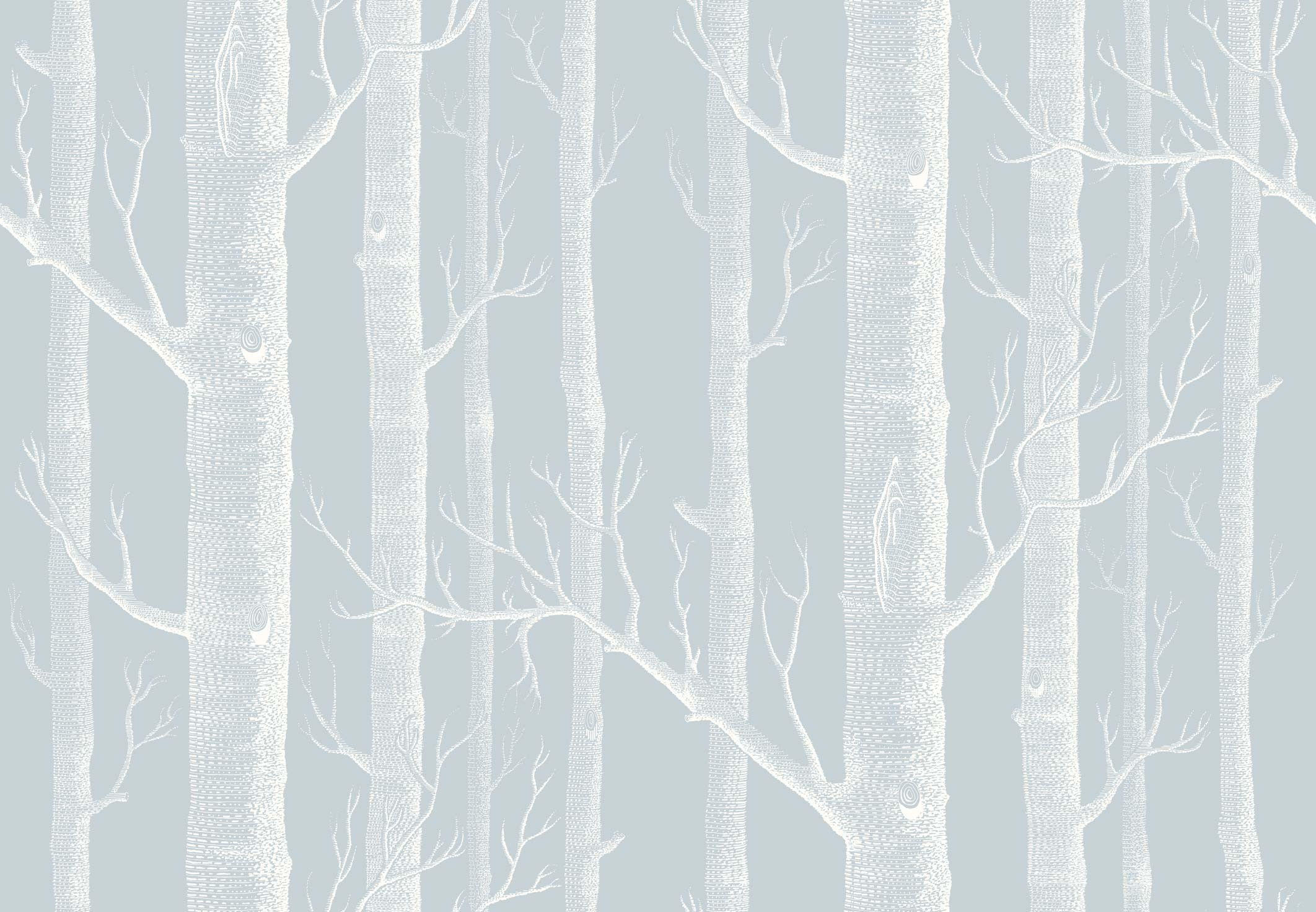 Birch Tree Wallpaper (52+ images)