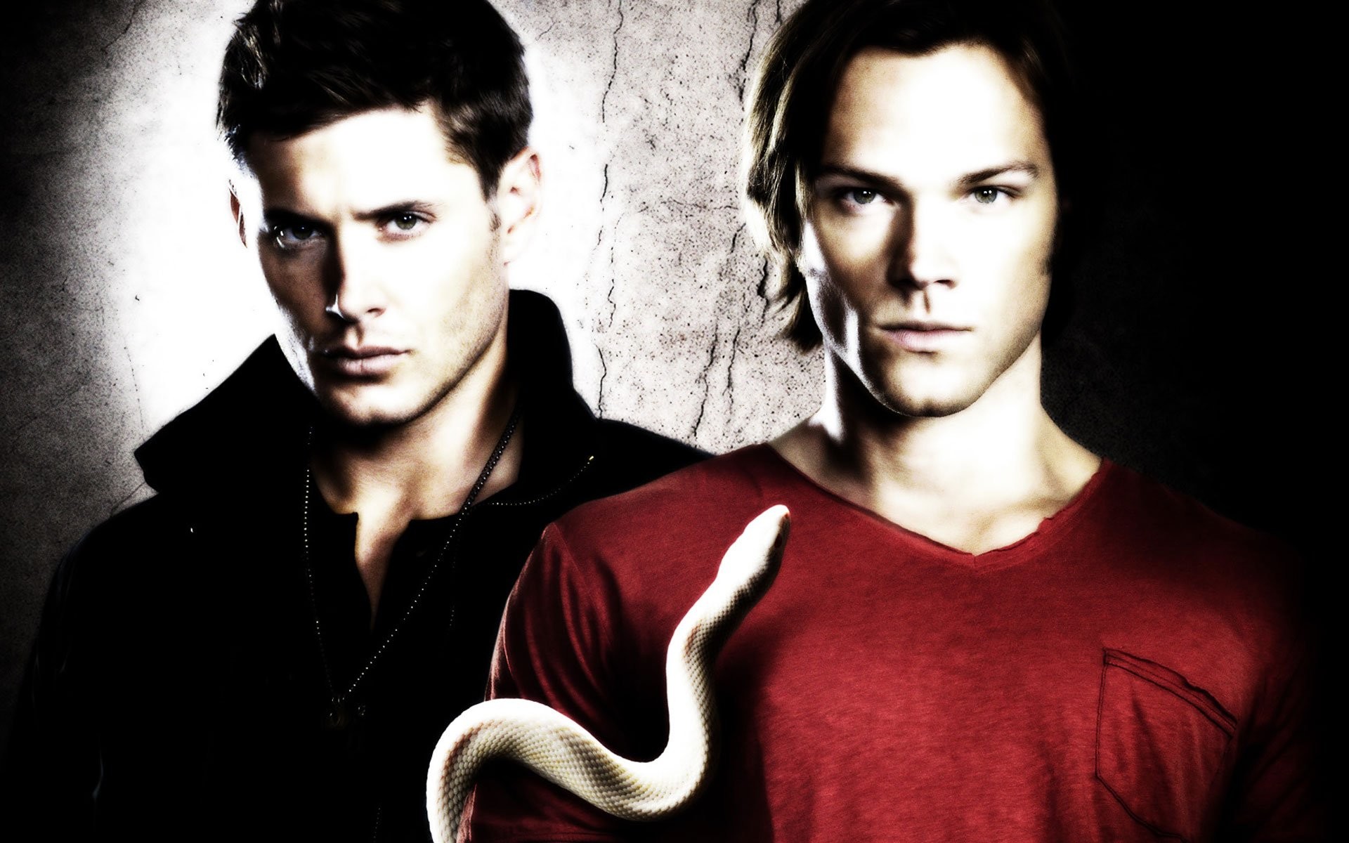 Supernatural iPhone 5 Wallpaper (63+ images)