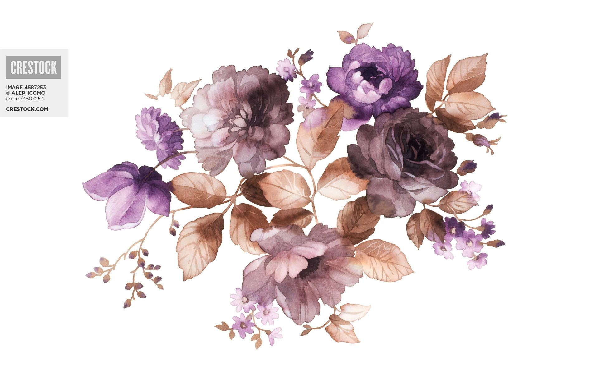 Watercolor Flowers Wallpaper (51+ images)
