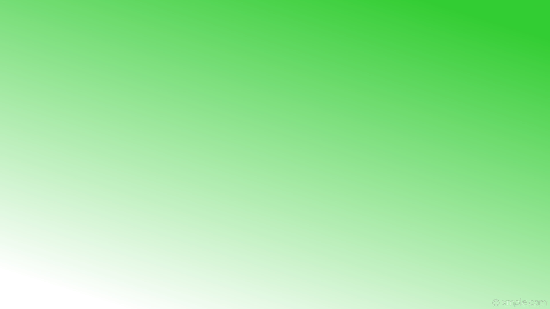 Lime Green and White Wallpaper (83+ images)