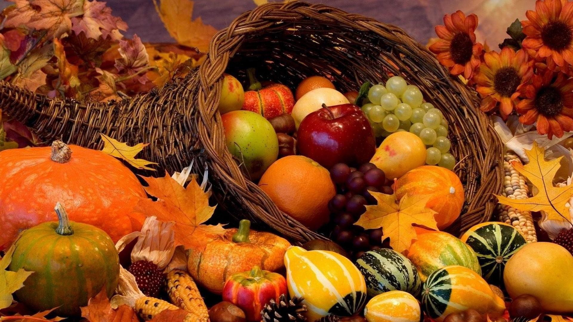 200+ Free Harvest Festival & Thanksgiving Images Pixabay