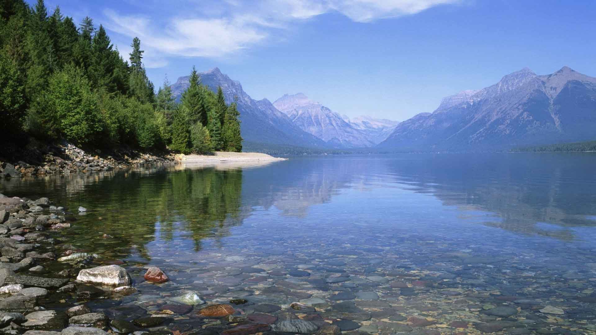 Animated Wallpapers for Mobile Phones (48+ images)