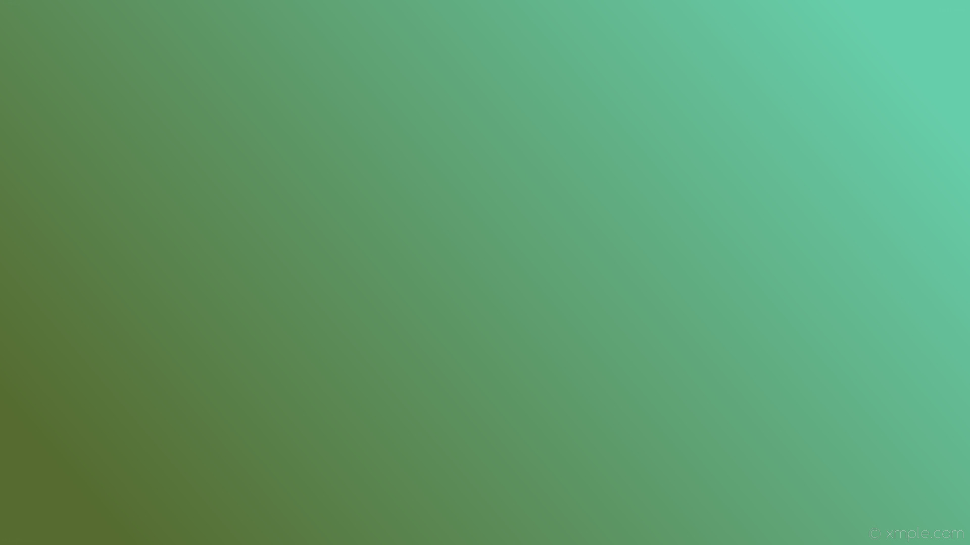 Olive Green Wallpaper (72+ images)