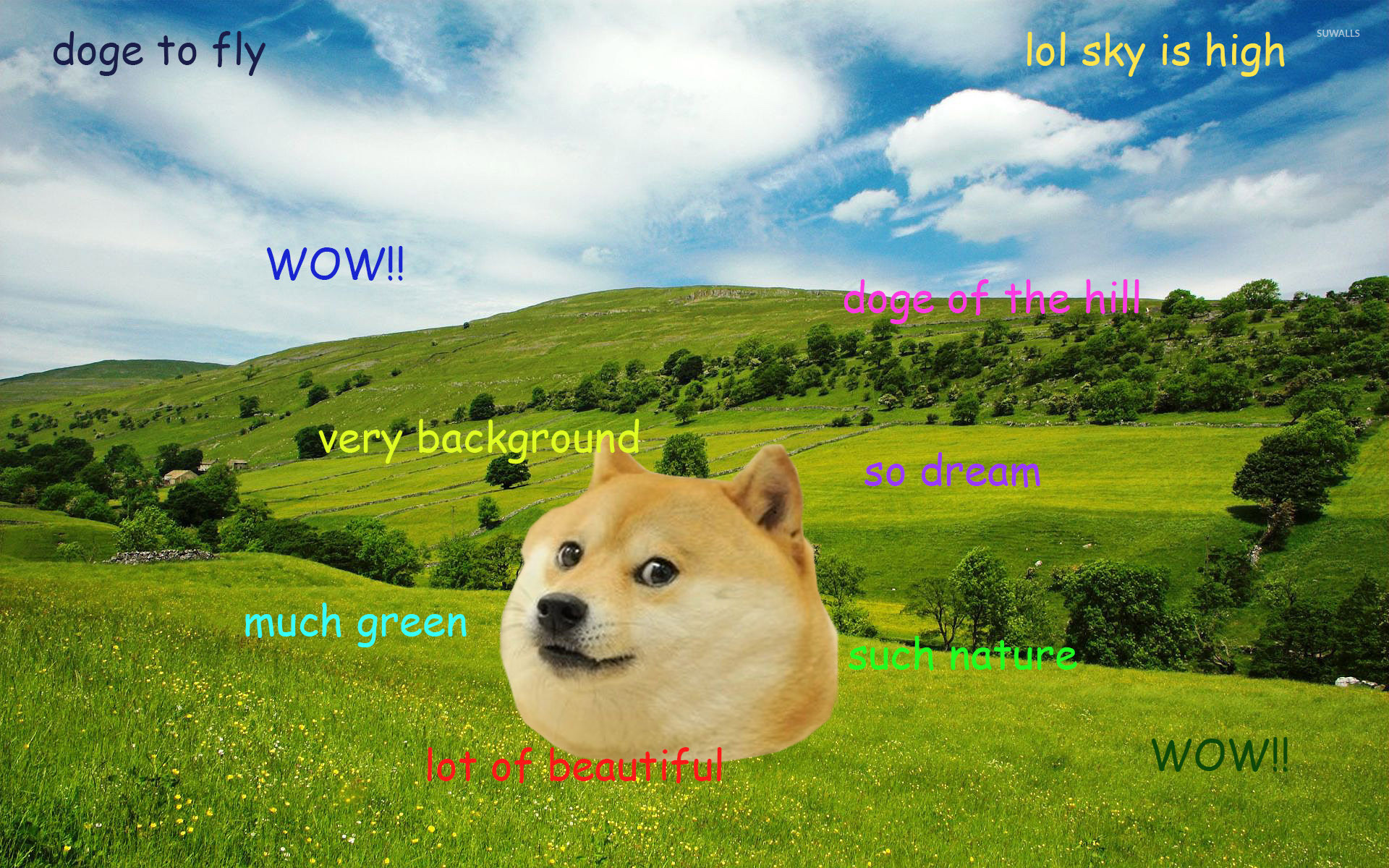 Doge Meme Wallpaper (85+ images)