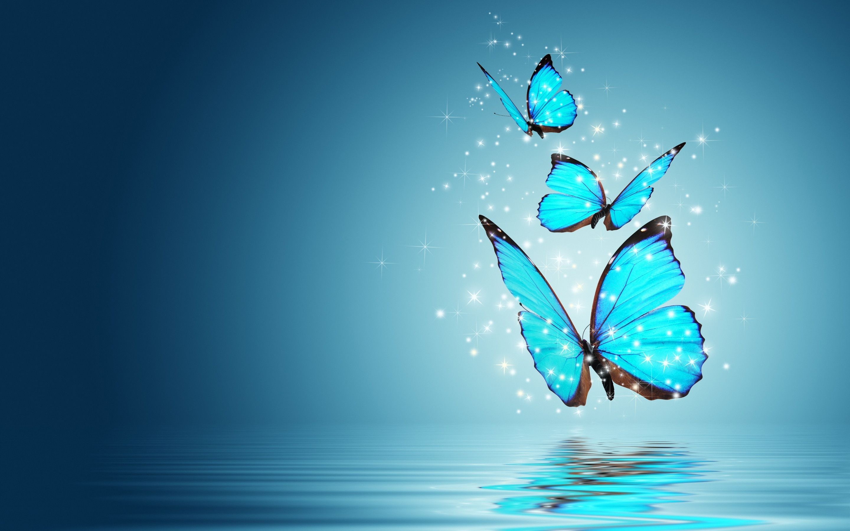 Blue Butterfly HD Wallpaper (70+ images)