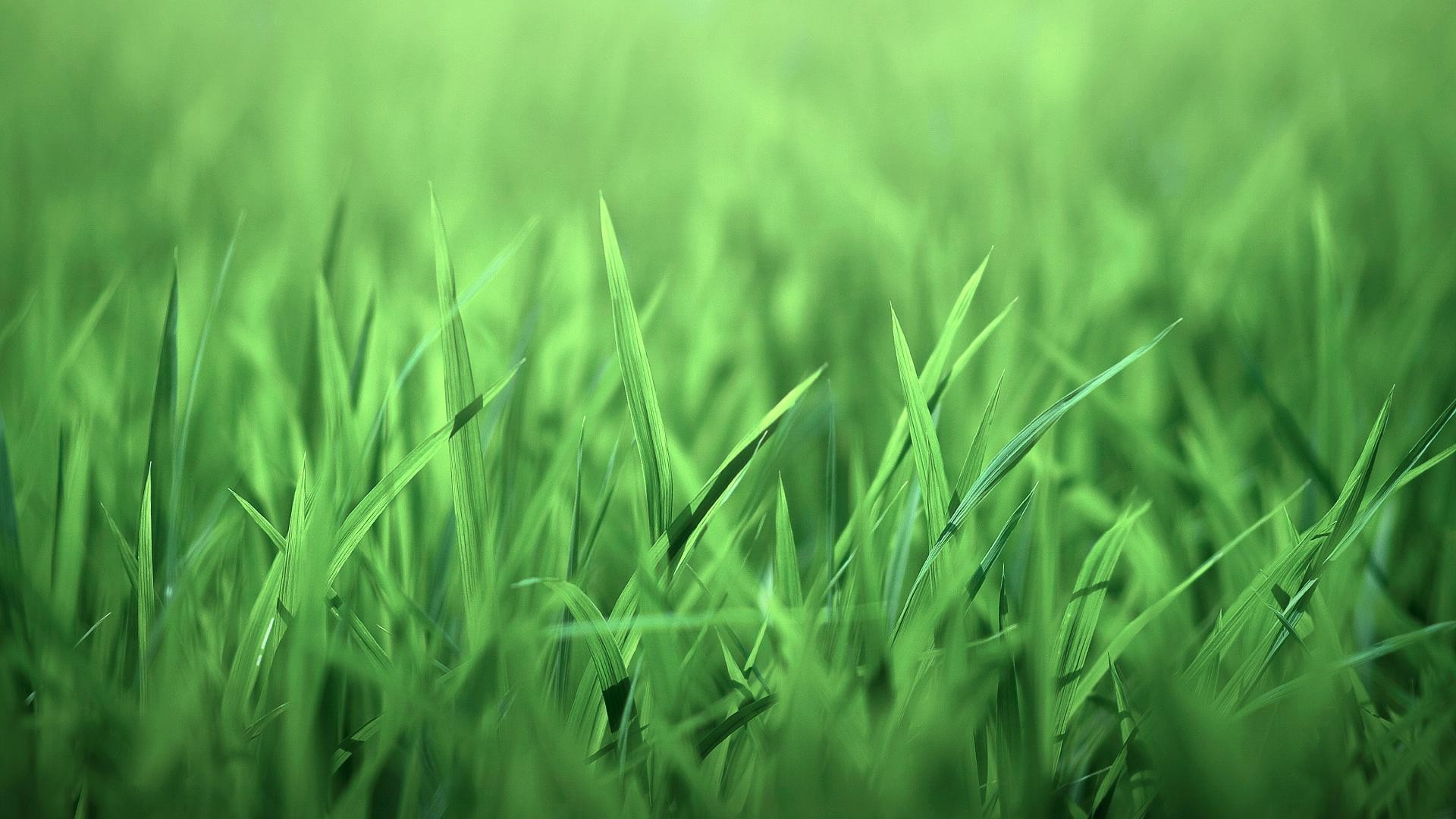 Green Wallpaper 1920x1080 (62+ images)