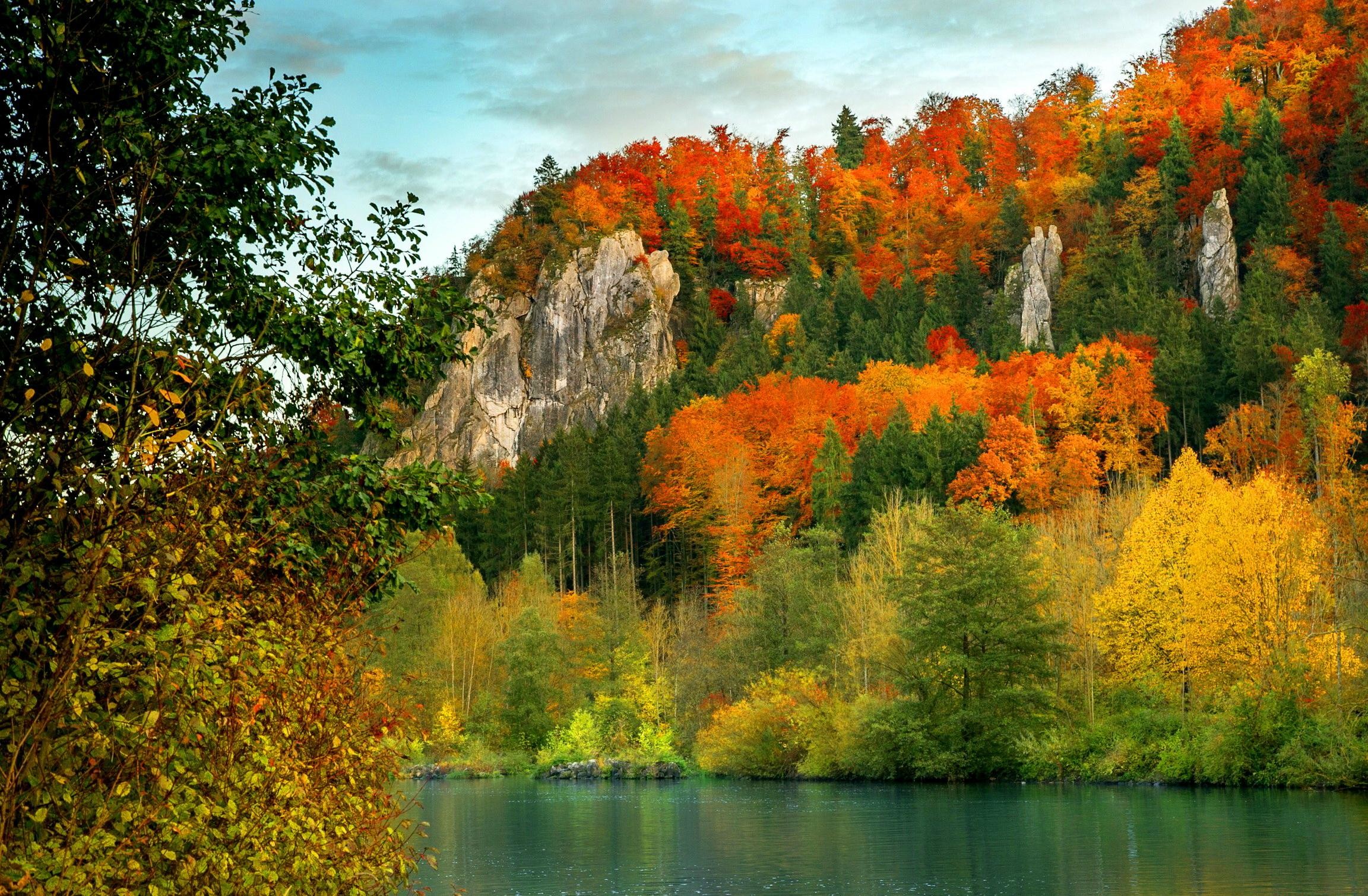 Widescreen Wallpaper Fall