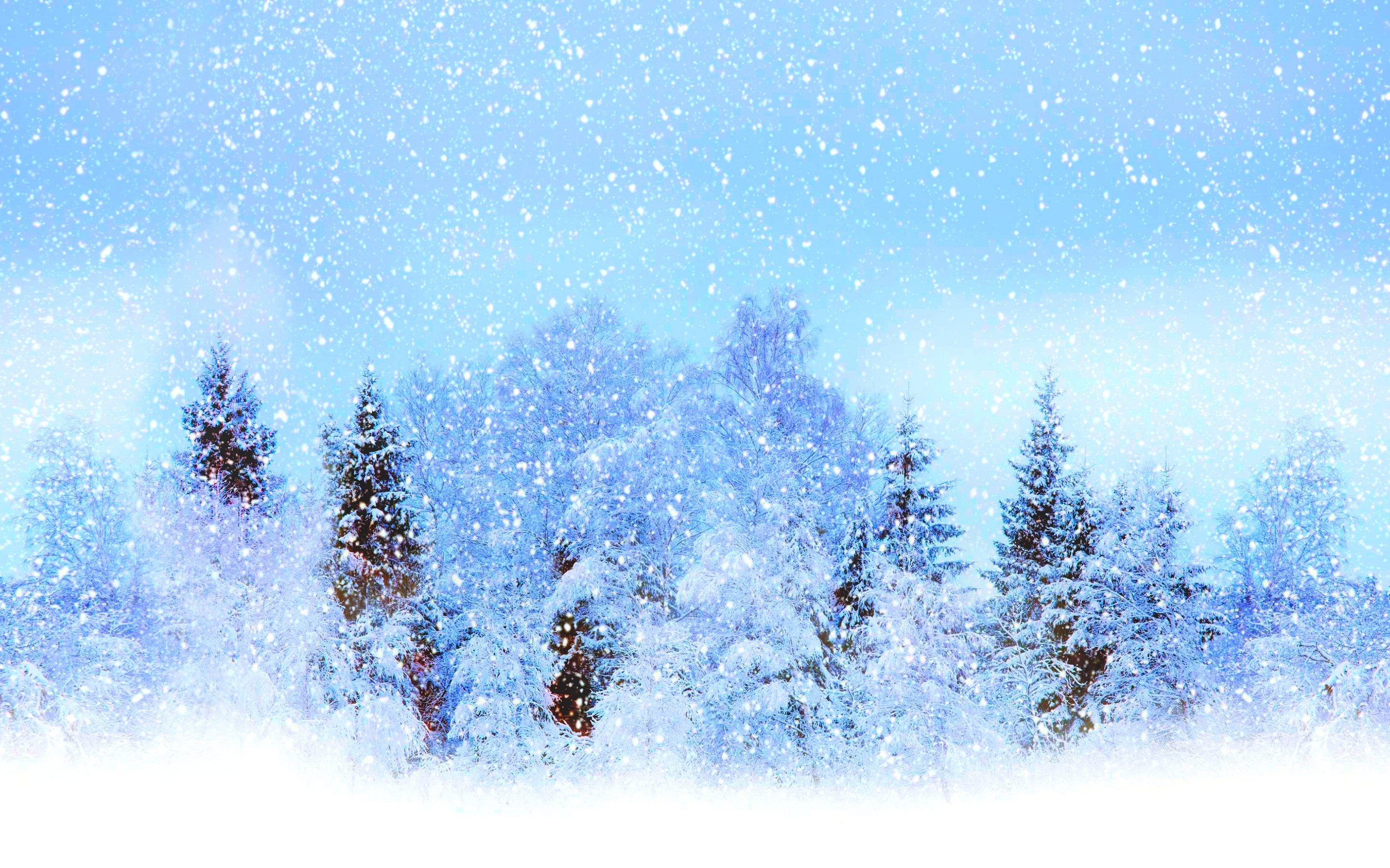 Winter Wonderland Background (44+ images)