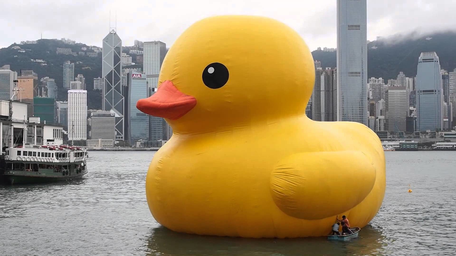 Giant Rubber Duck Wallpaper (77+ images)