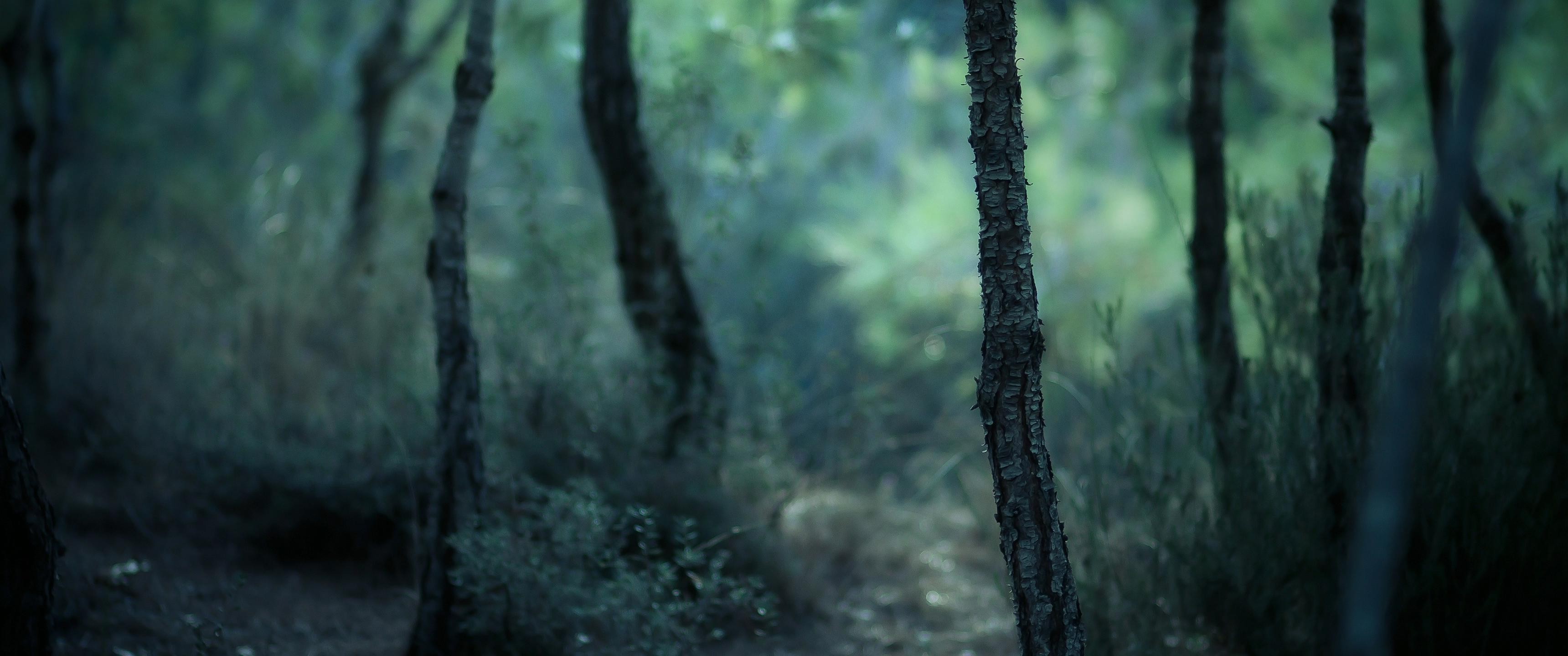 Ultra Wide HD Wallpaper (66+ images)