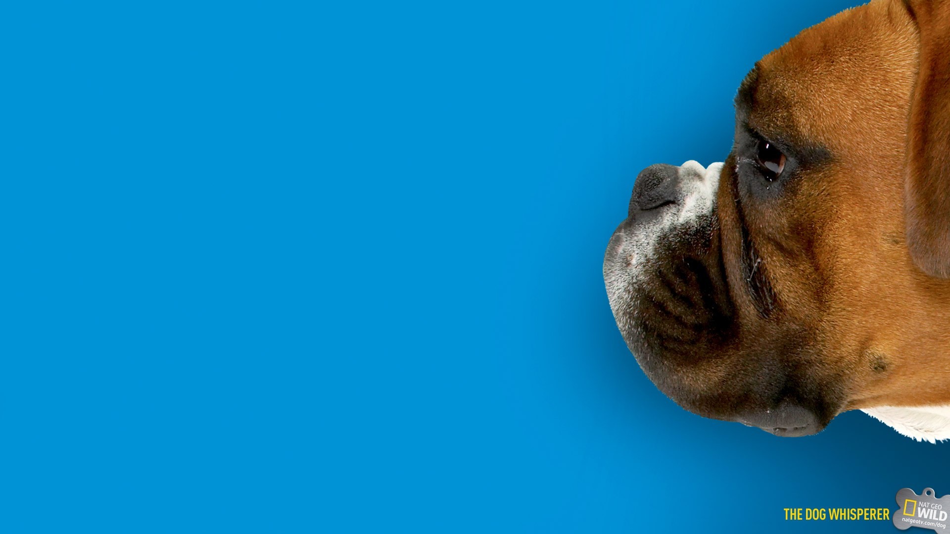 Blue Wallpaper 1920x1080 (75+ images)