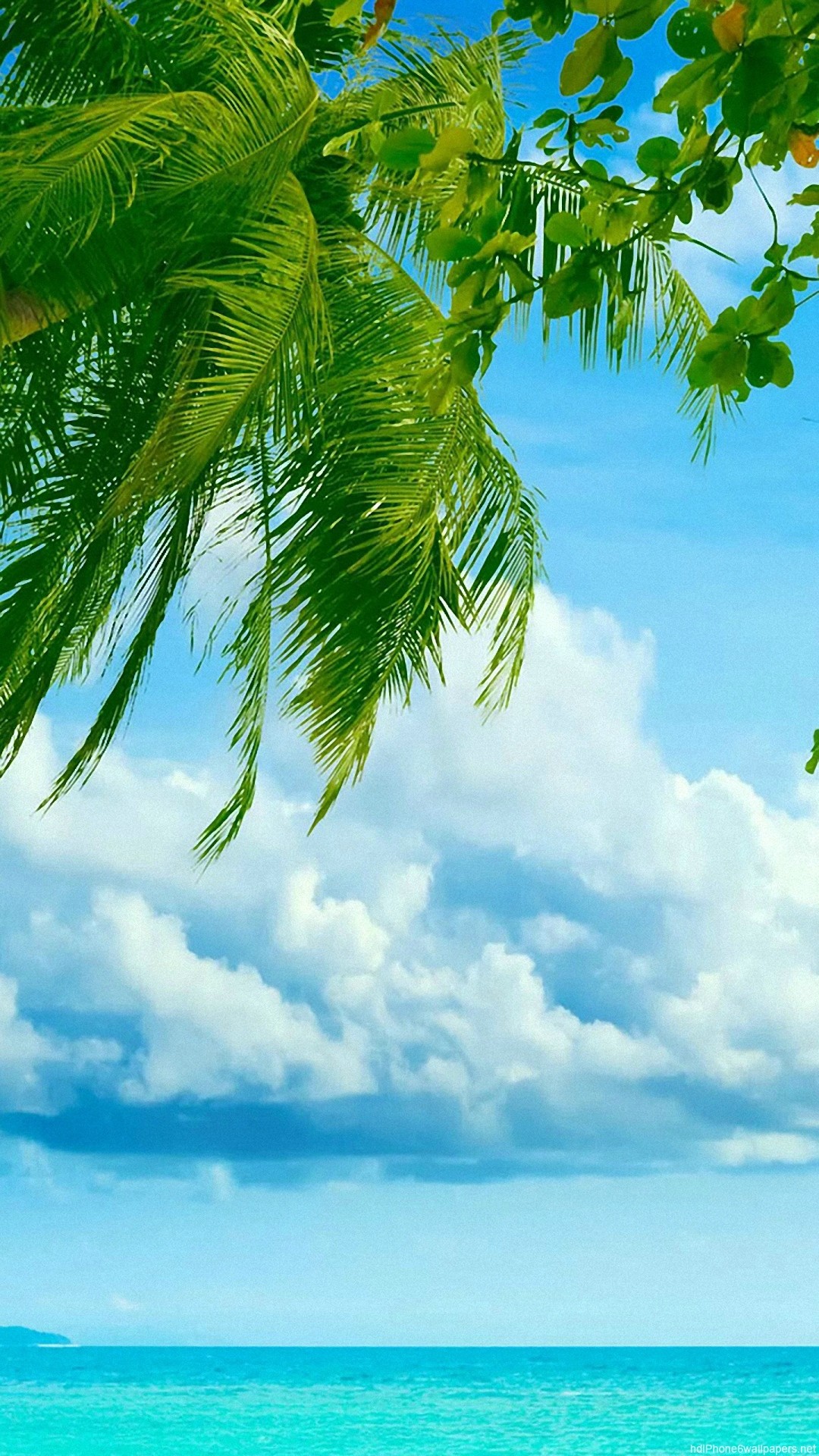 Beach iPhone Wallpaper HD (90+ images)