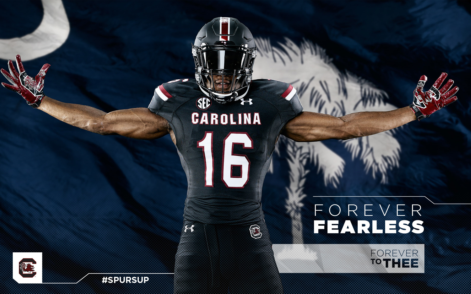 South Carolina Gamecocks Wallpapers (54+ images)