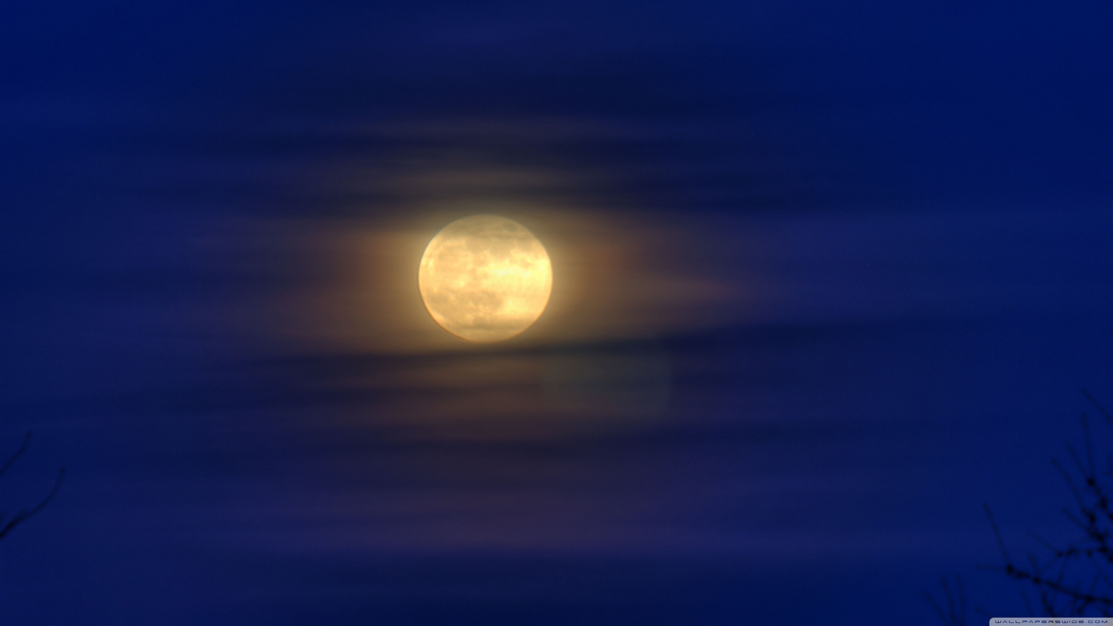 Blue Moon Wallpaper (63+ images)