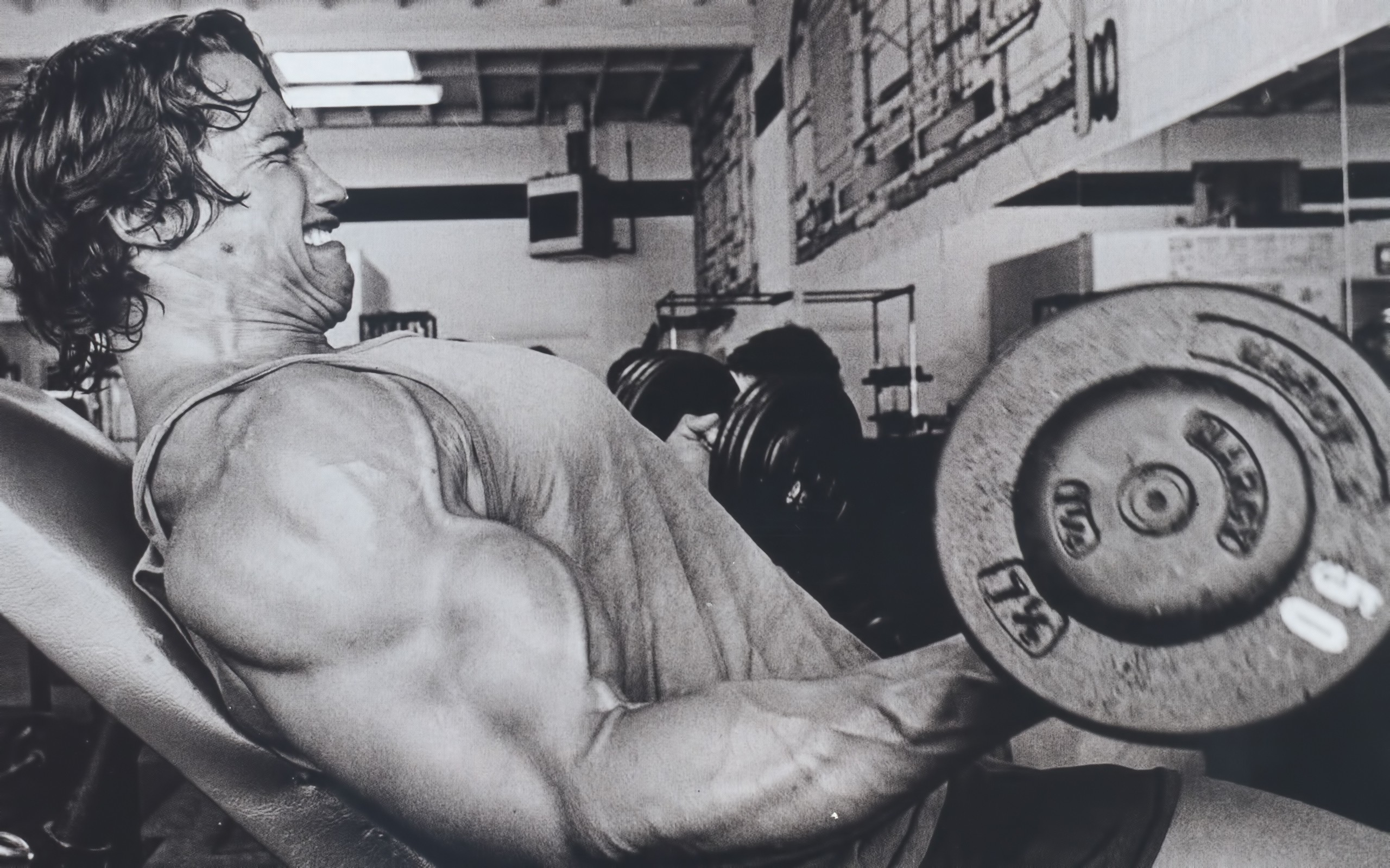 Arnold Schwarzenegger Conquer Wallpaper (73+ images)