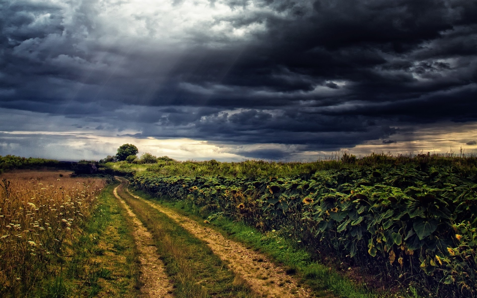 Stormy Skies Wallpaper (37+ images)