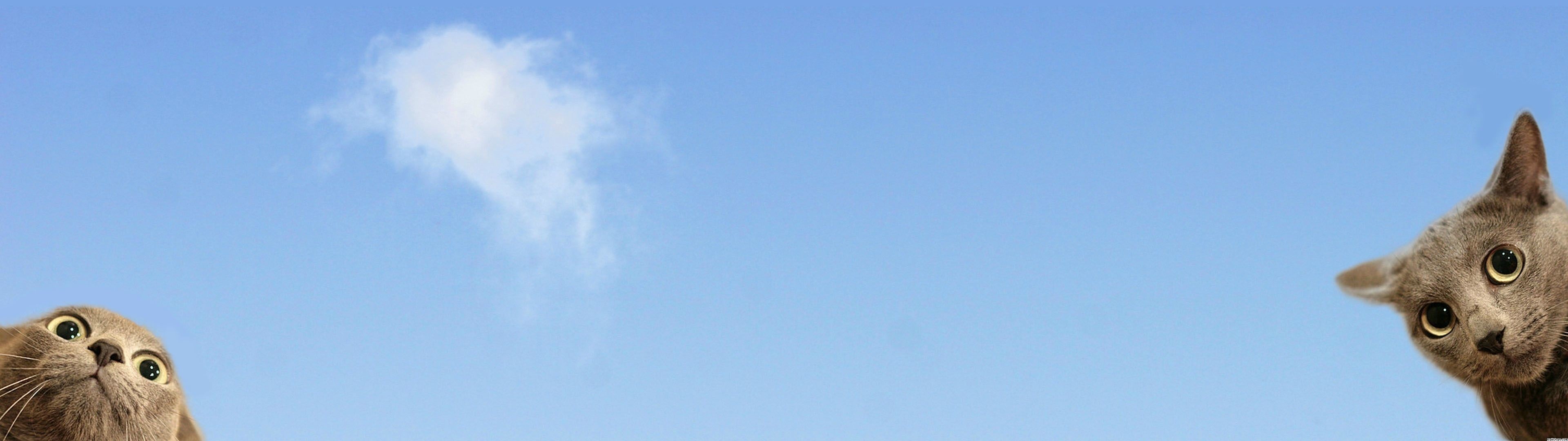 18+ Funny Dual Monitor Wallpaper 3840X1080 Pictures
