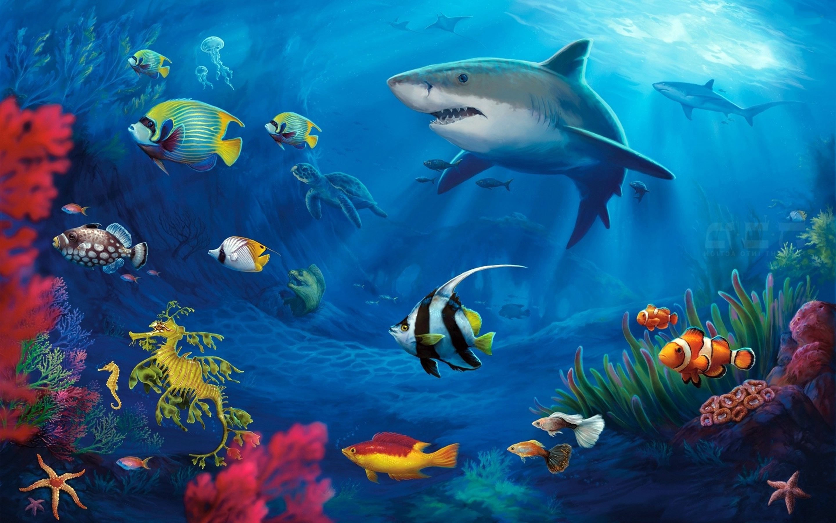 HD Ocean Sea Life Wallpapers (47+ images)