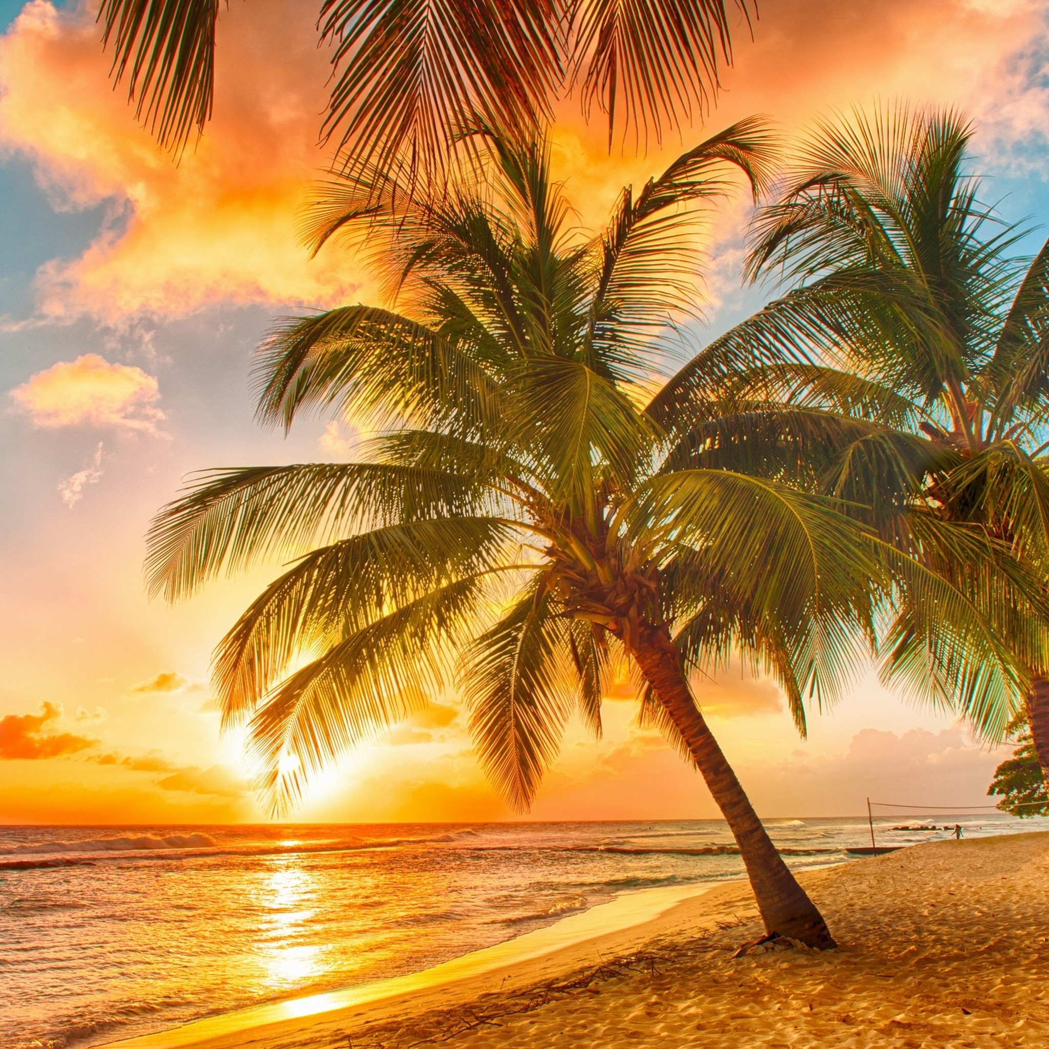 Tropical Beach Screensavers And Wallpaper (67+ images)