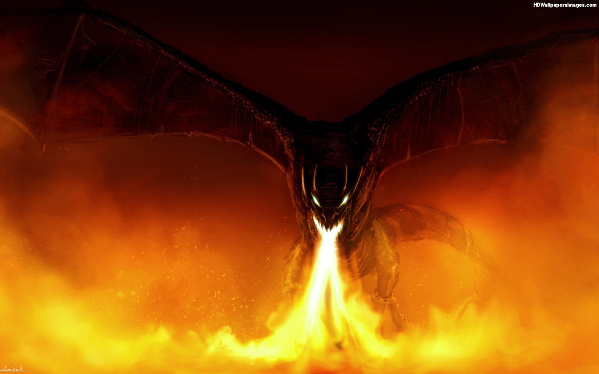 Blue Fire Breathing Epic Fire Dragon Wallpaper Novocom Top