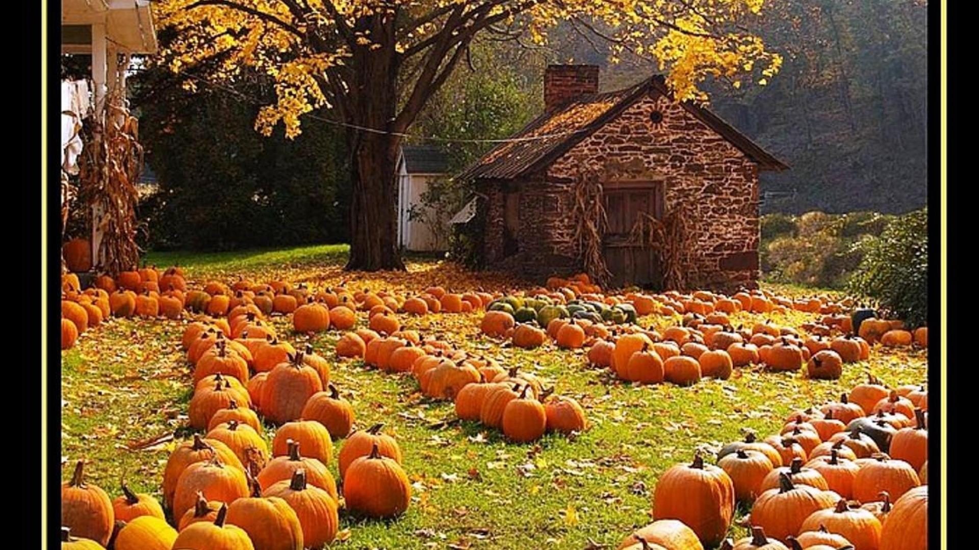 Fall Harvest Wallpaper (54+ images)