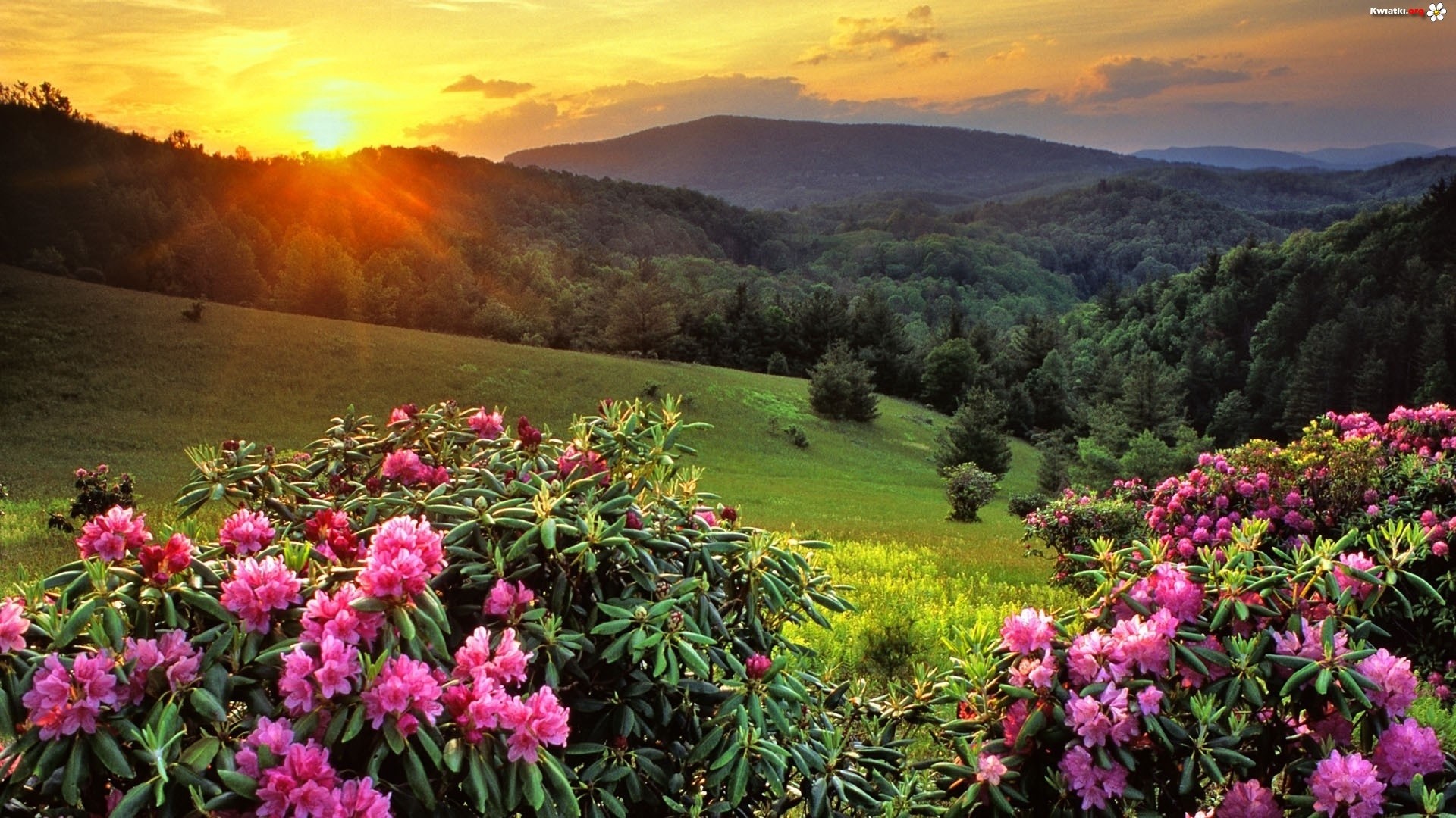 Blue Ridge Mountains Desktop Wallpaper (45+ images)