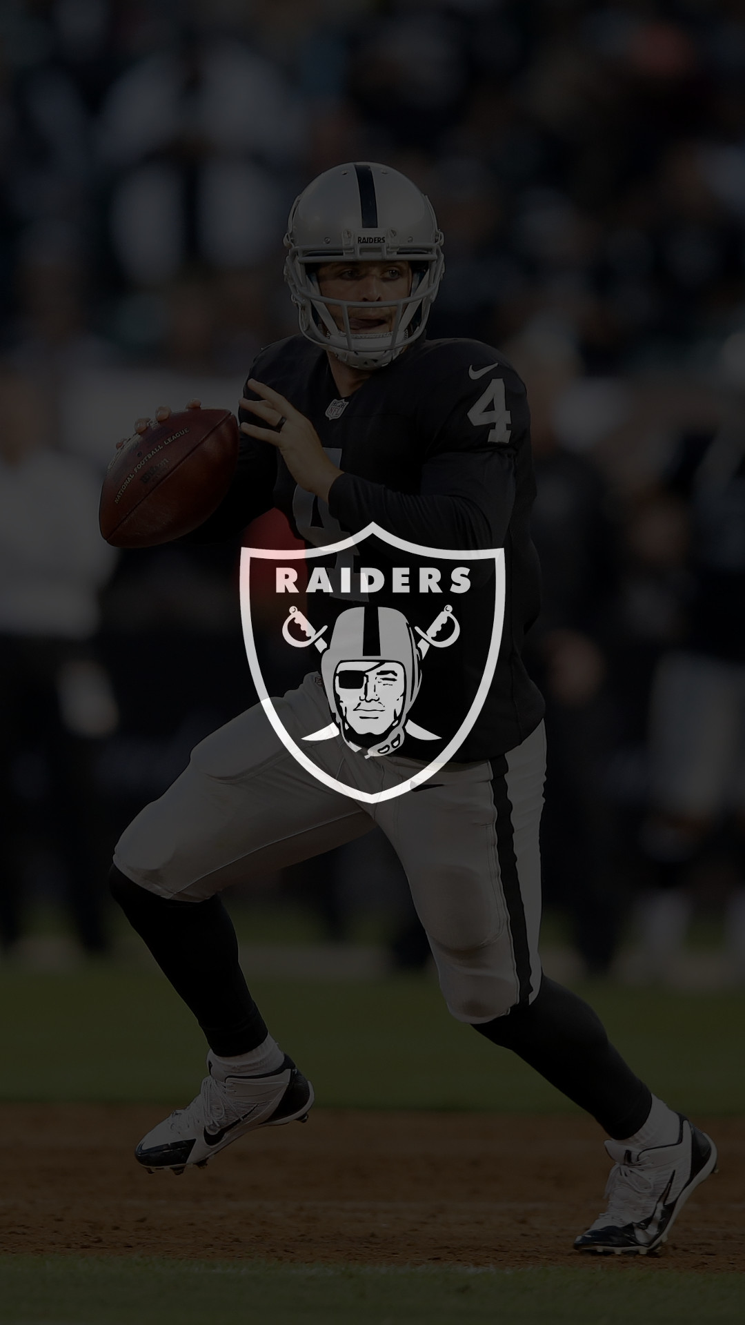 Raiders iPhone Wallpaper (71+ images)