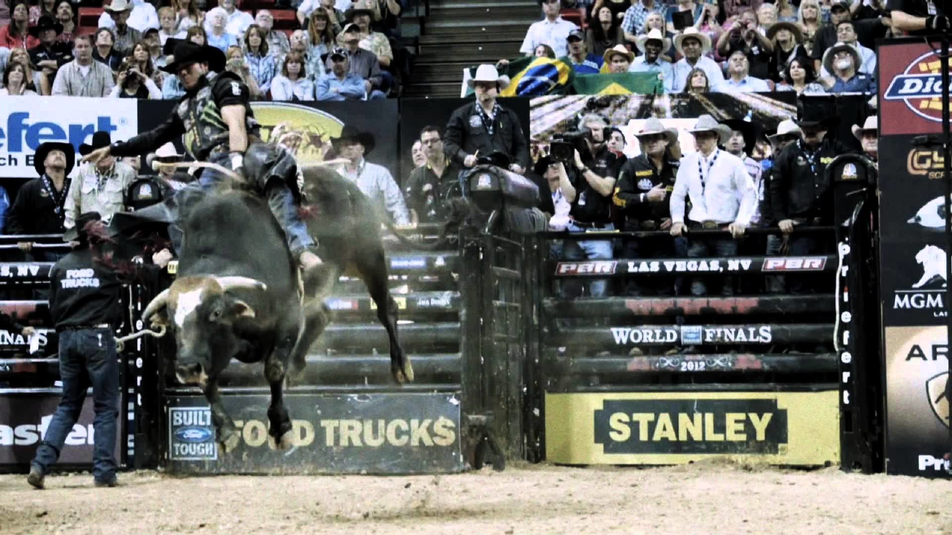 Pbr Bull Riding Wallpaper (69+ images)