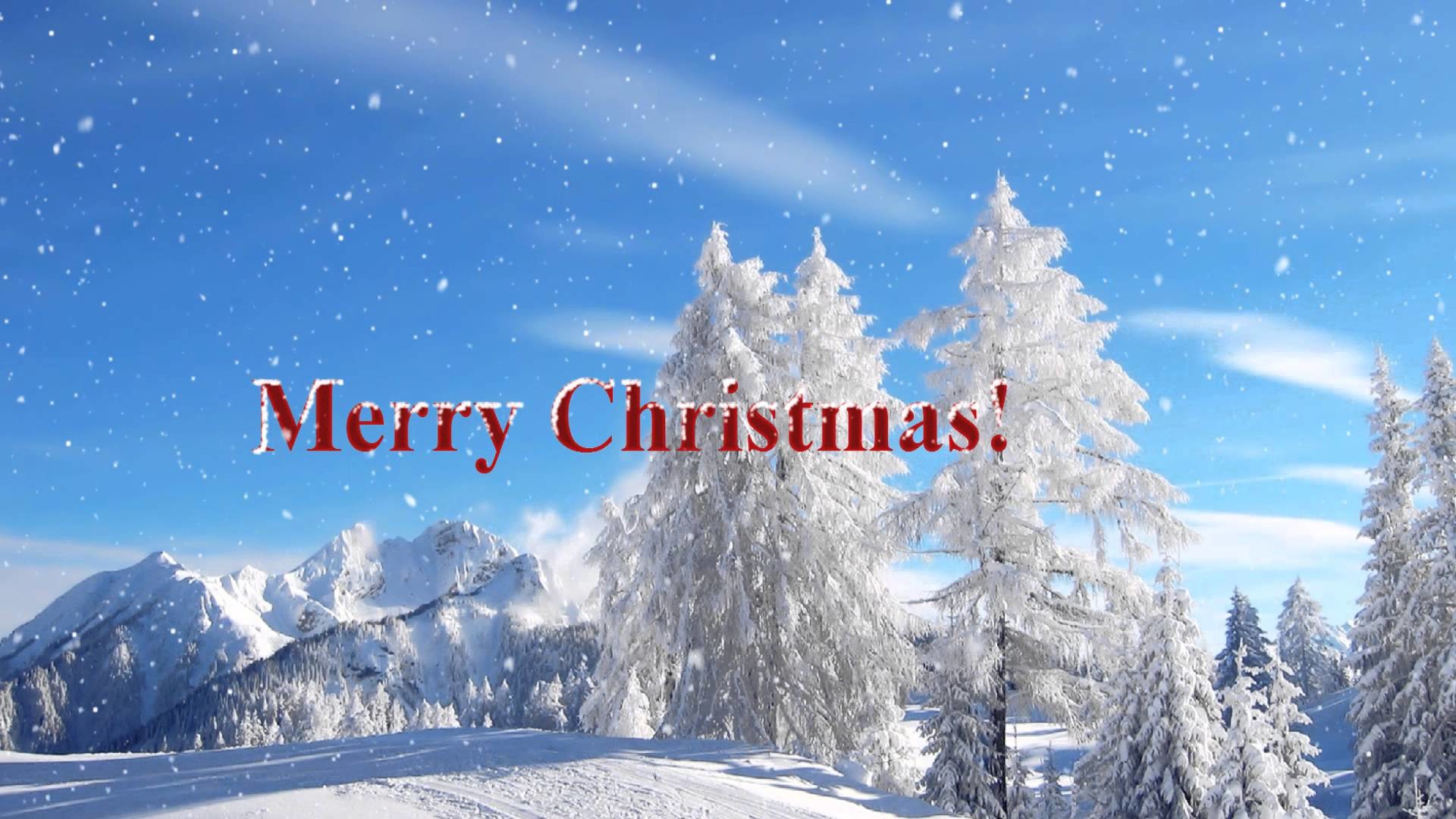 Christmas Snow Globe Wallpaper (63+ images)