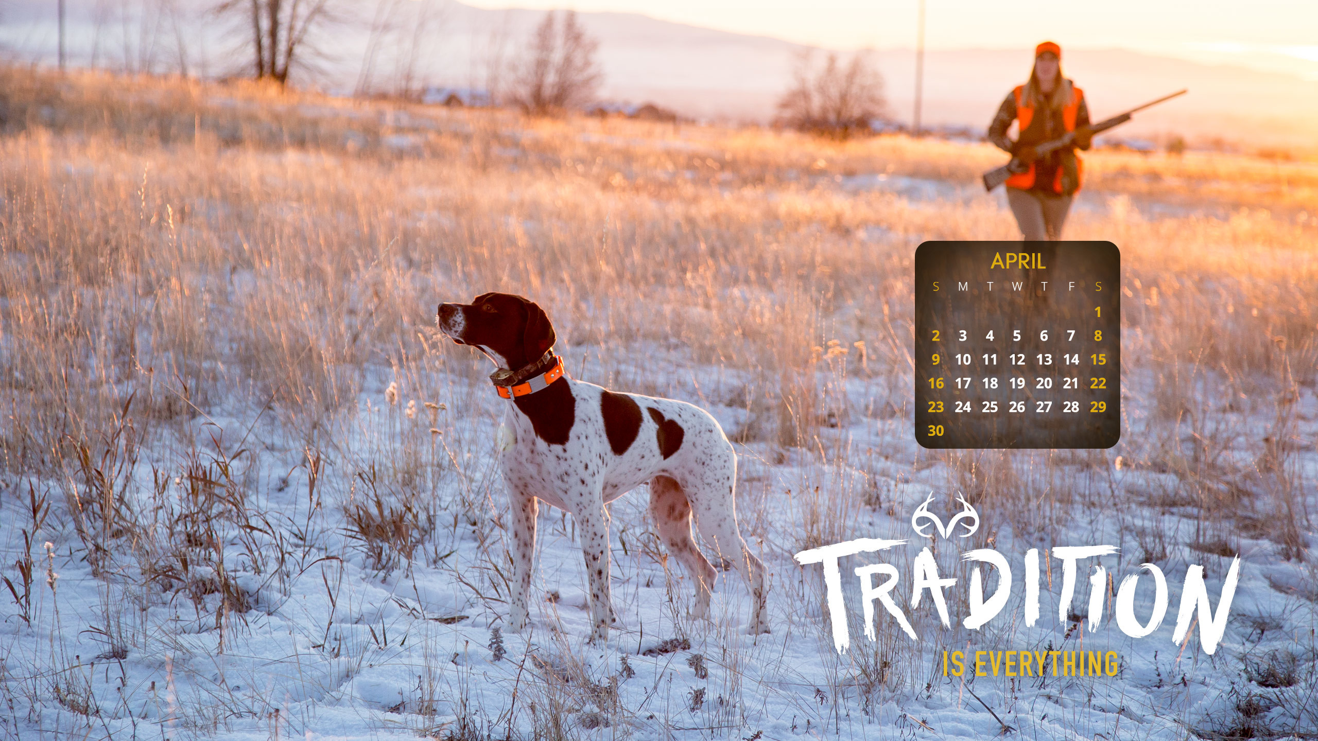 Hunting Dog Wallpaper (56+ images)