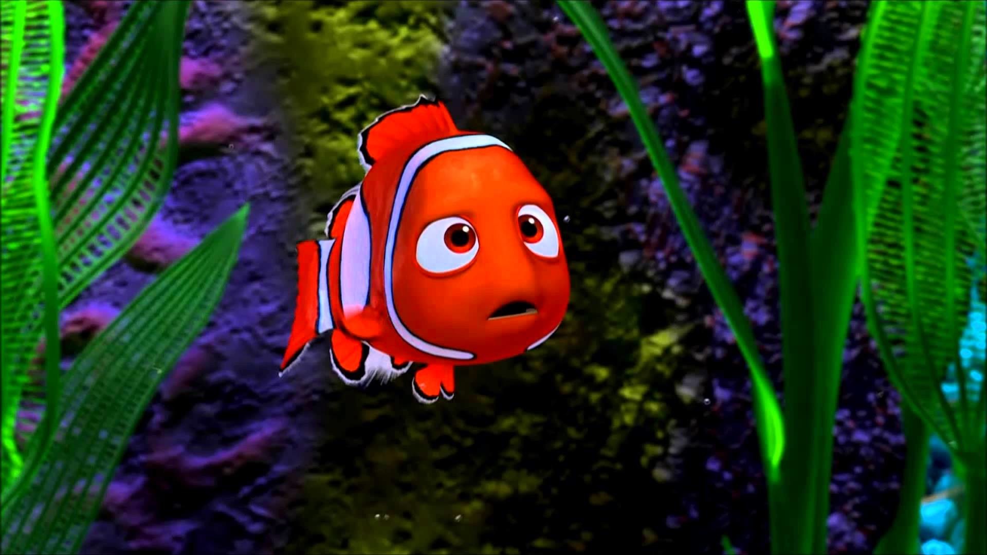 HD Nemo Wallpapers (61+ images)