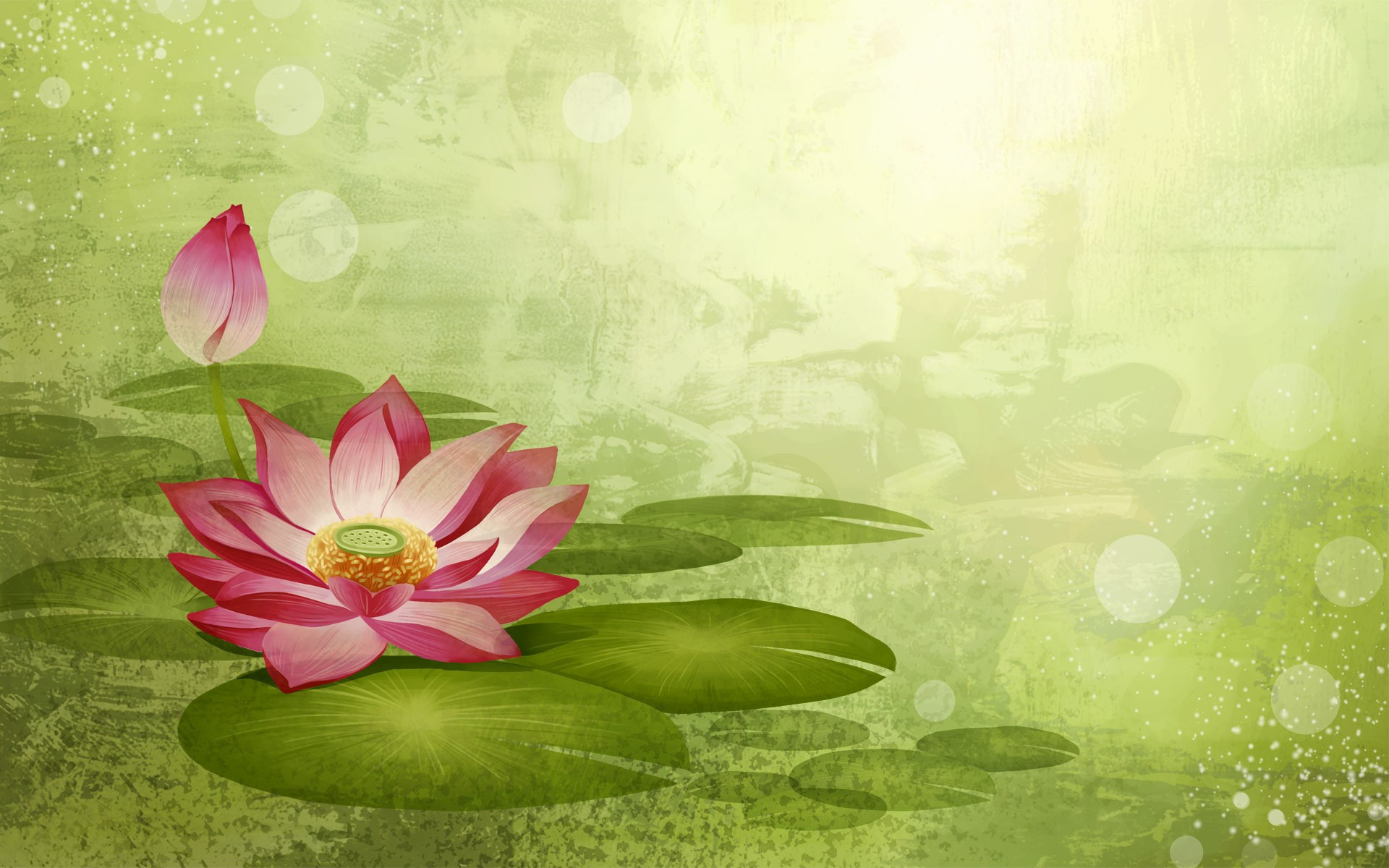 Lotus HD Wallpaper (73+ images)