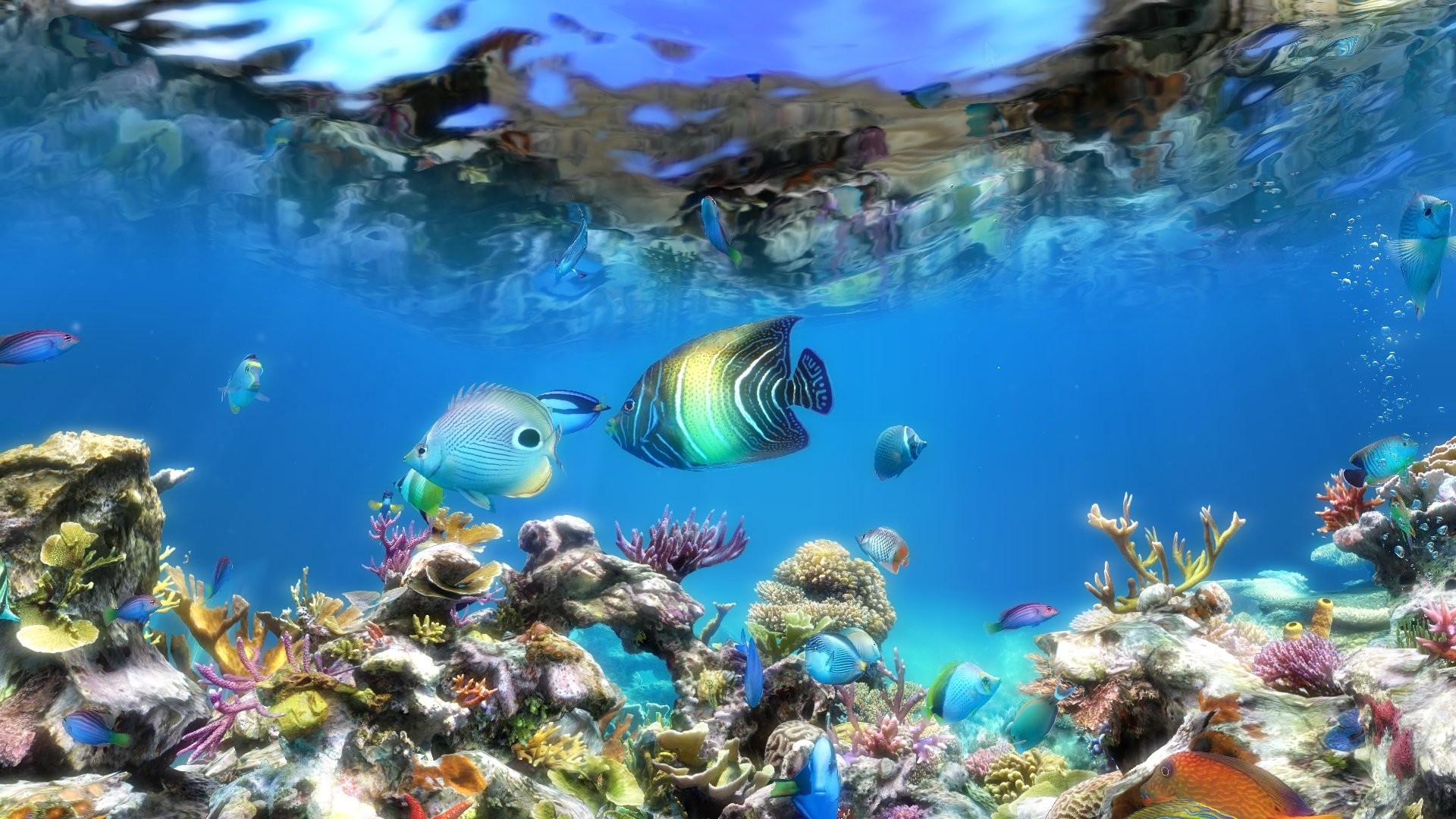 Aquarium Live Wallpaper for PC (55+ images)