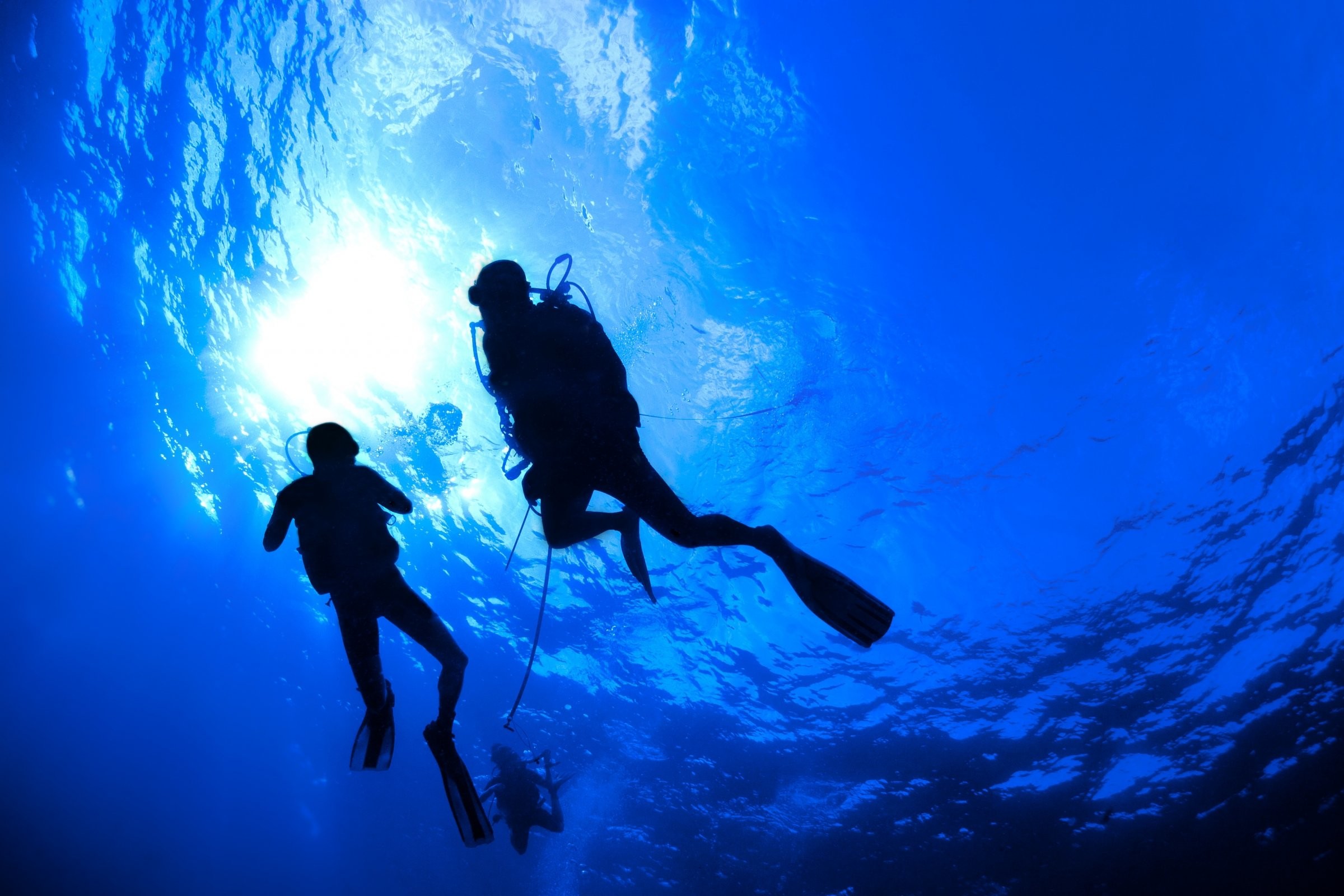 Scuba Diving Wallpapers (58+ images)