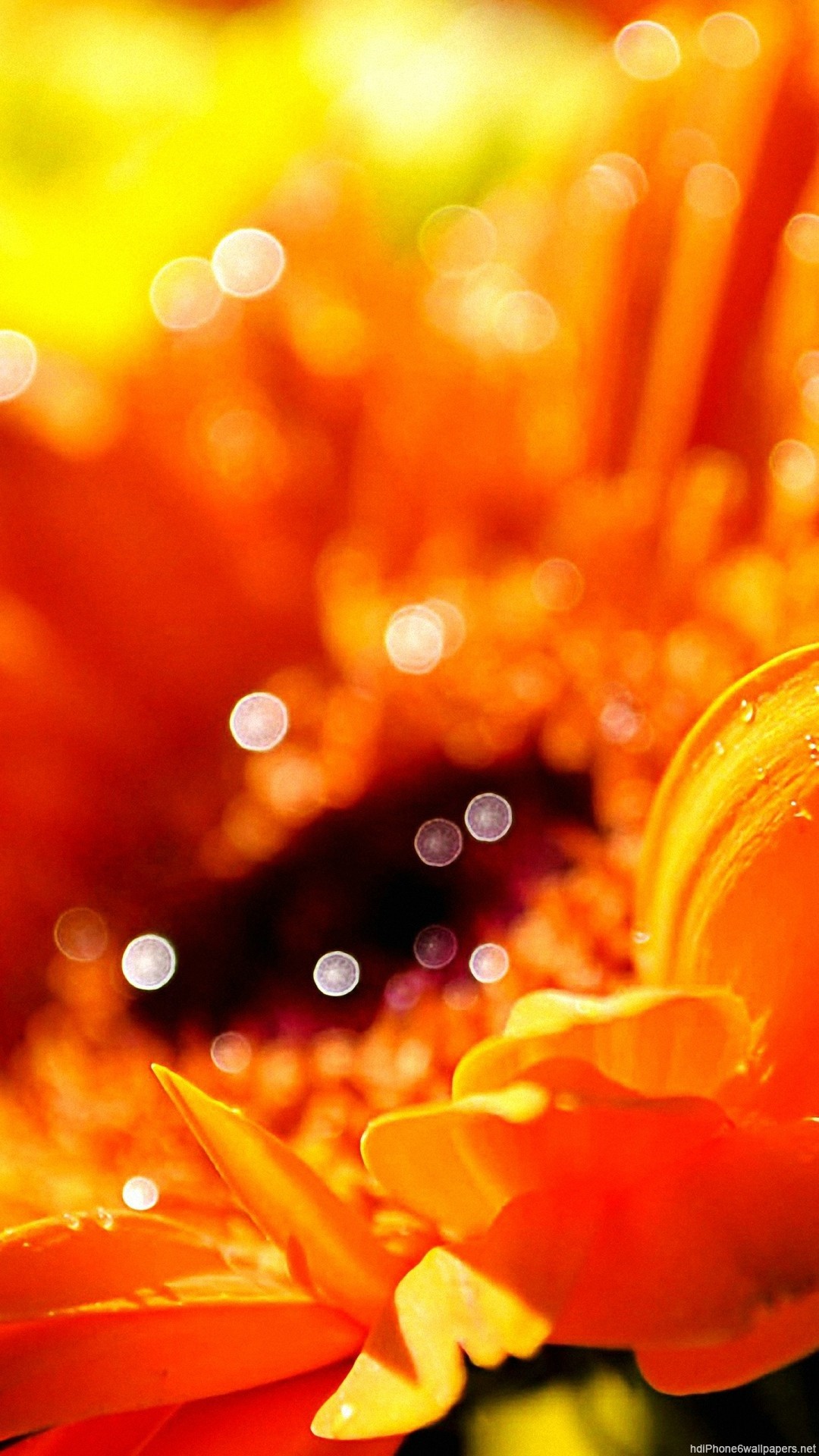 HD Bright Wallpapers (76+ images)