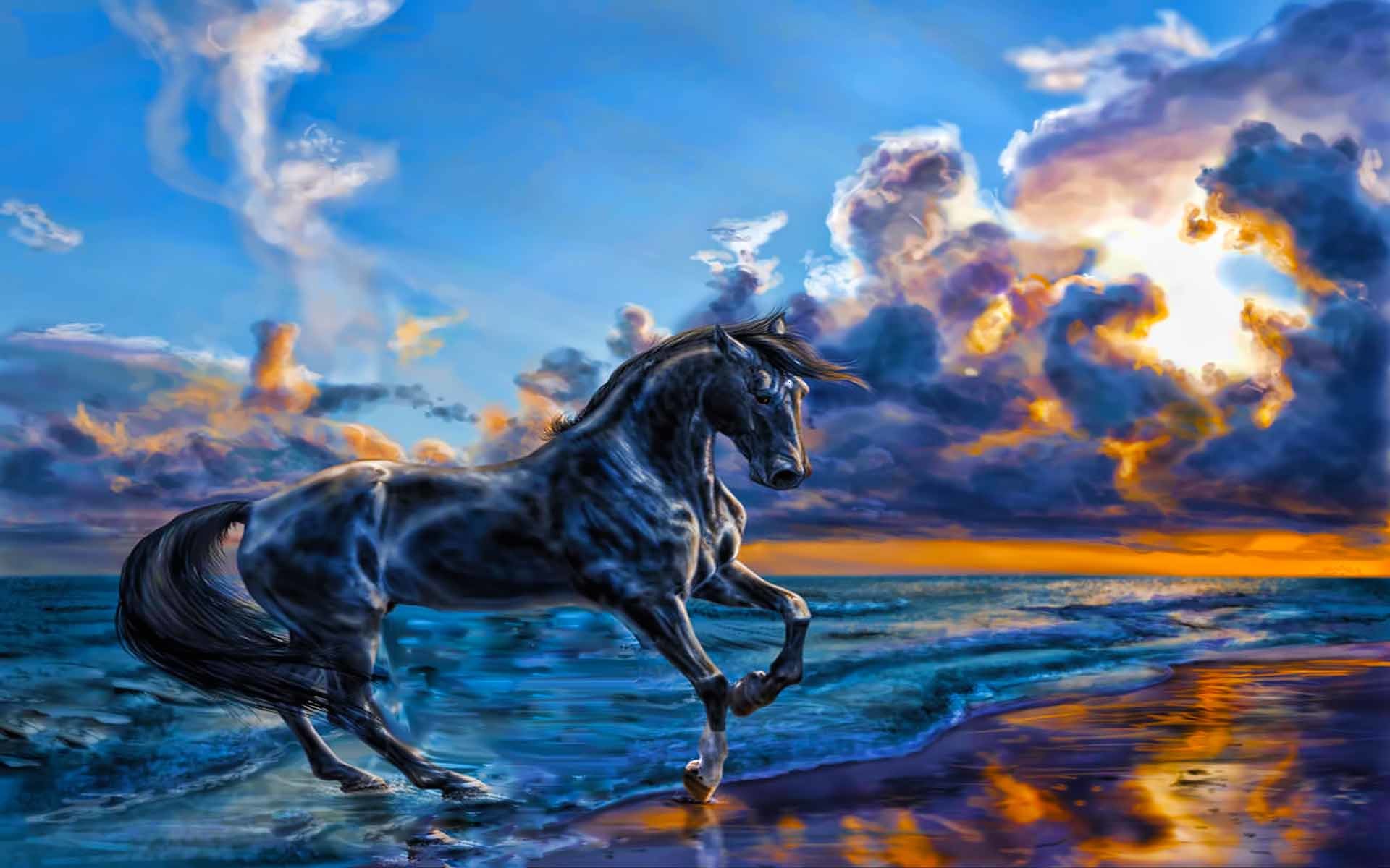 Indian Horse Wallpaper (51+ images)