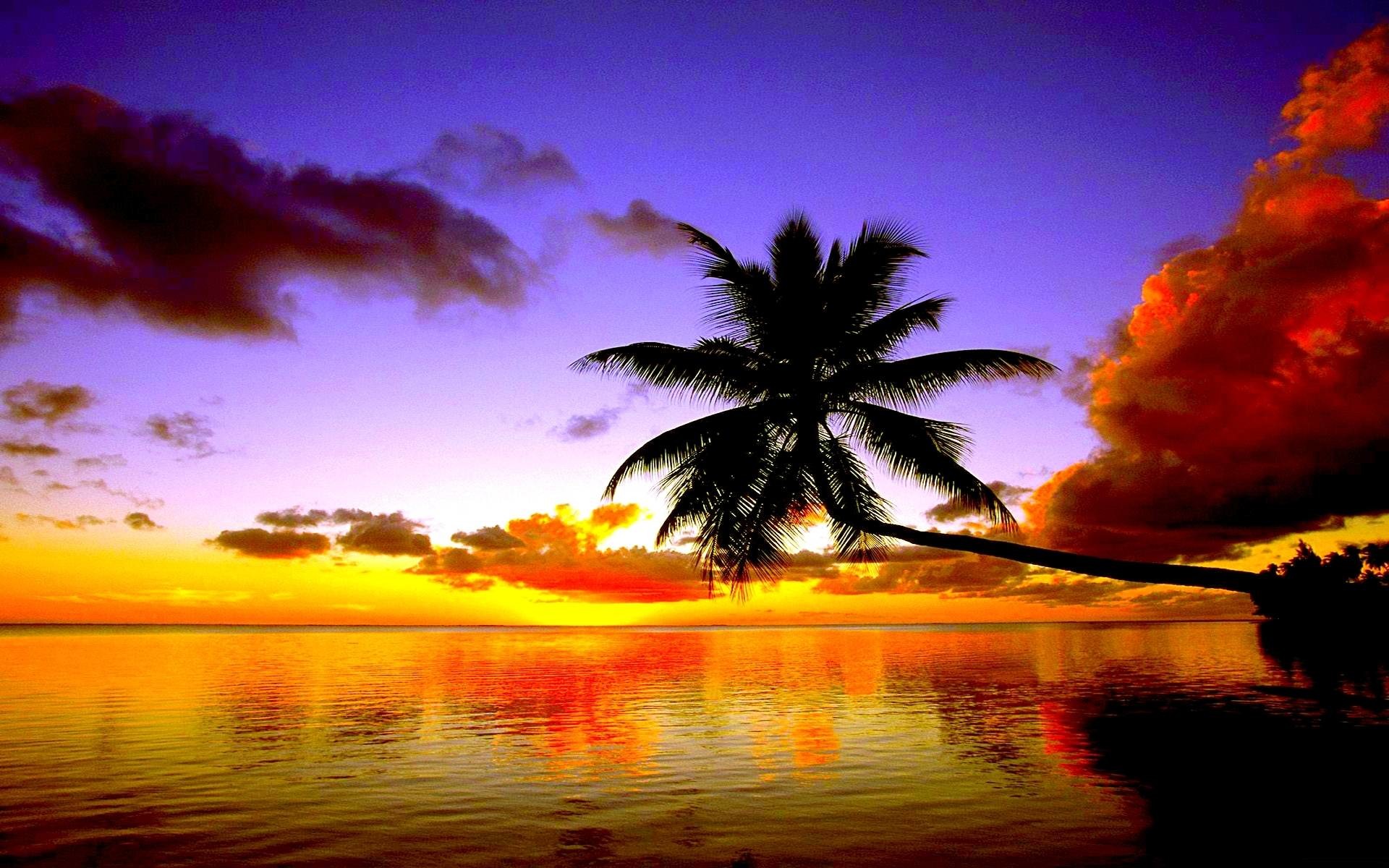 Tropical Beach Screensavers and Wallpaper (67+ images)