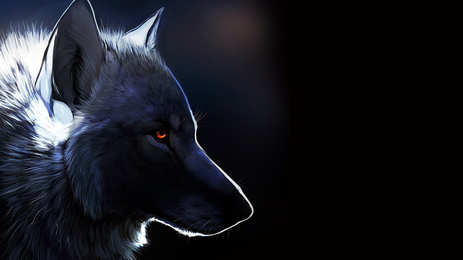 Black Wolf Wallpaper (64+ images)