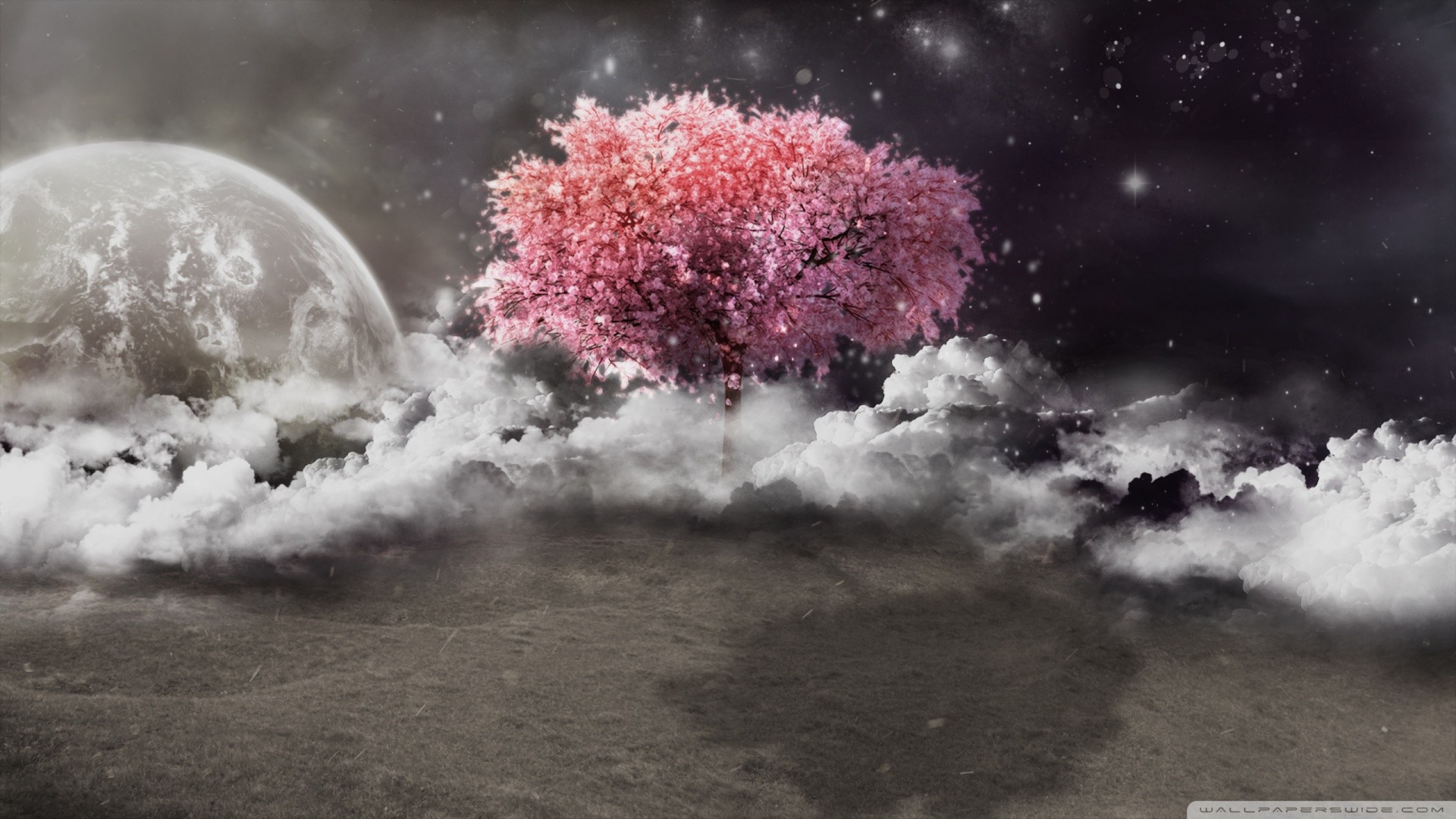 Tree Of Life Desktop Wallpaper (56+ images)