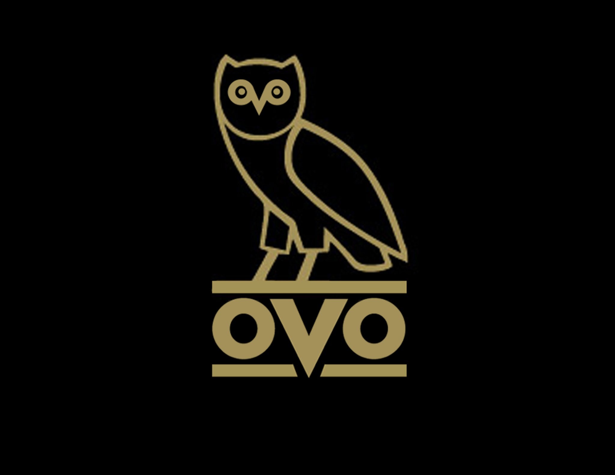 Ovo Owl Wallpaper (78+ images)